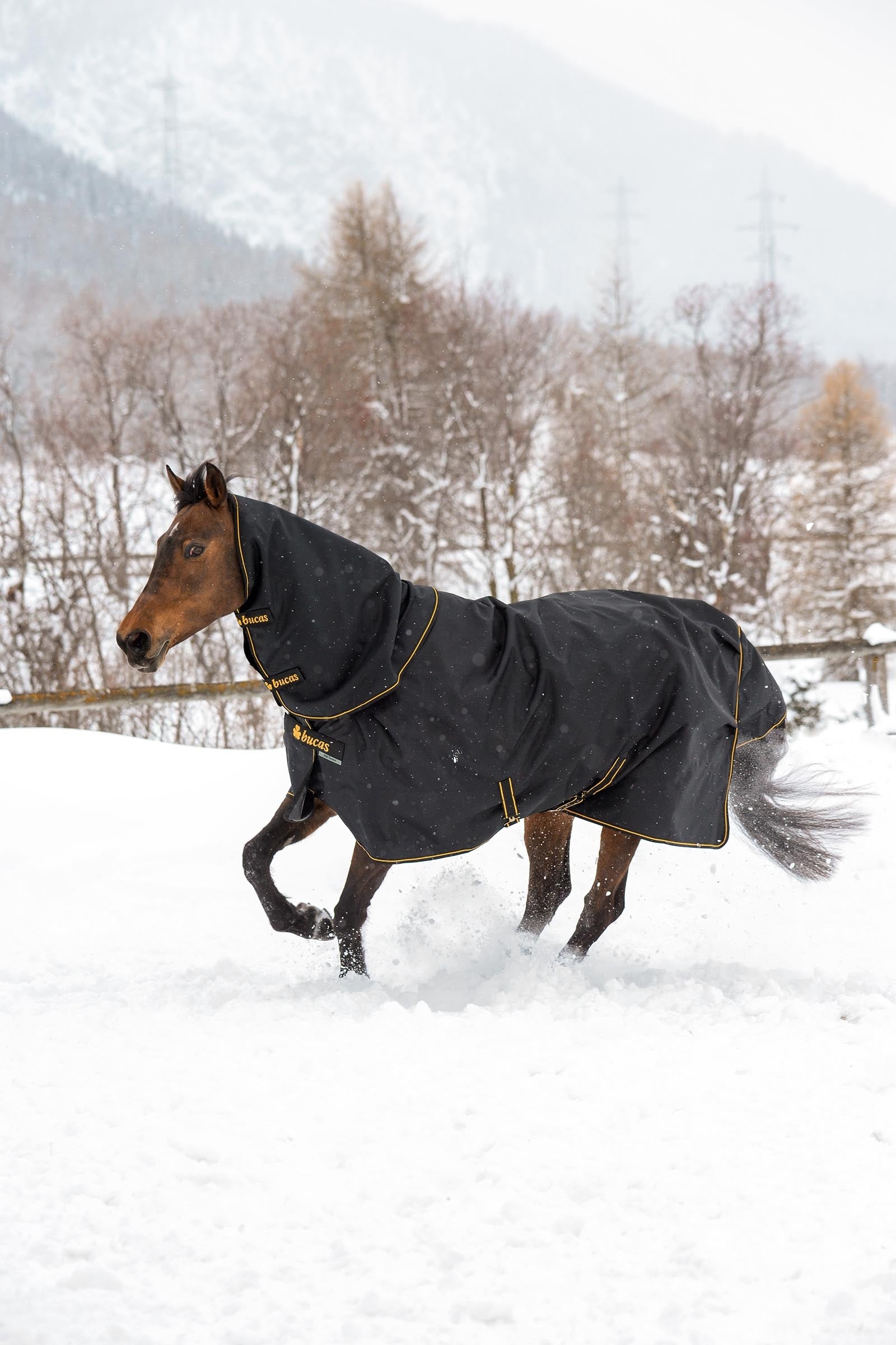 Bucas Irish Turnout Rug, 300 g & Neck Set Horse Rugs