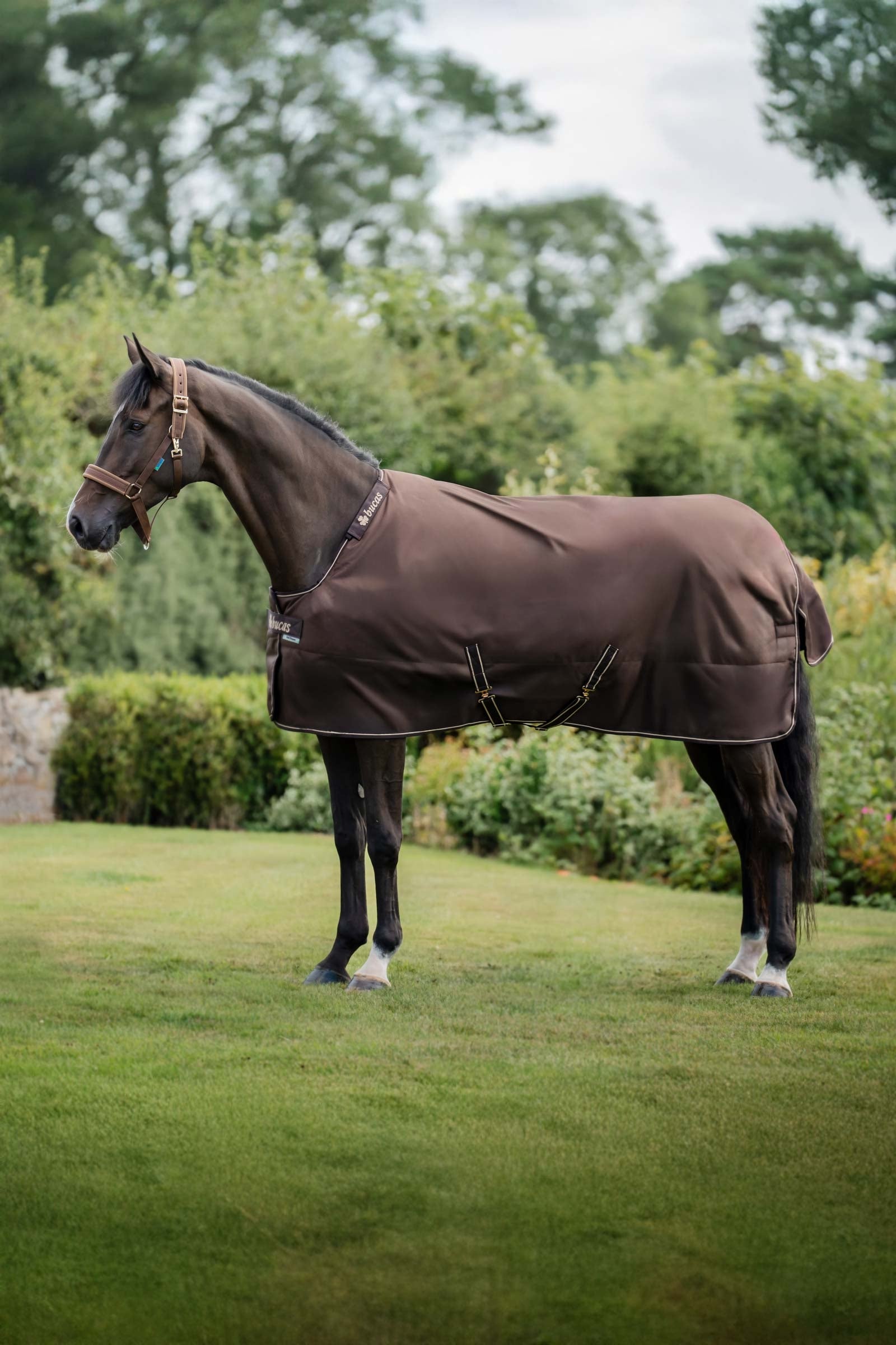 Bucas Irish Turnout Rug, 300 g & Neck Set Derki