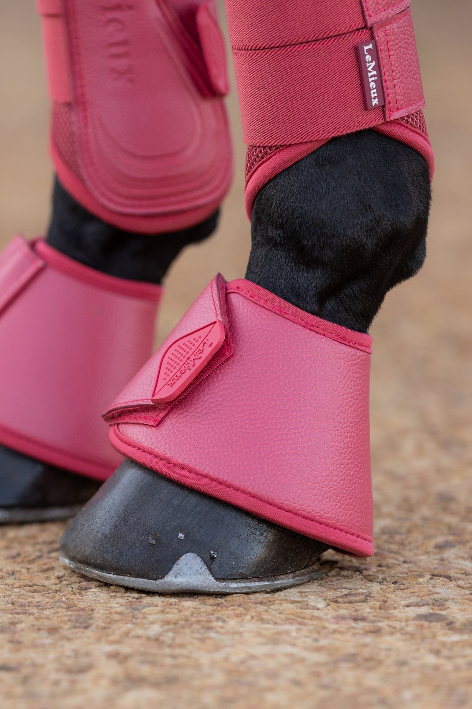 LeMieux Arika Over Reach Boots Leg Protection & Hoof Protection for Horses