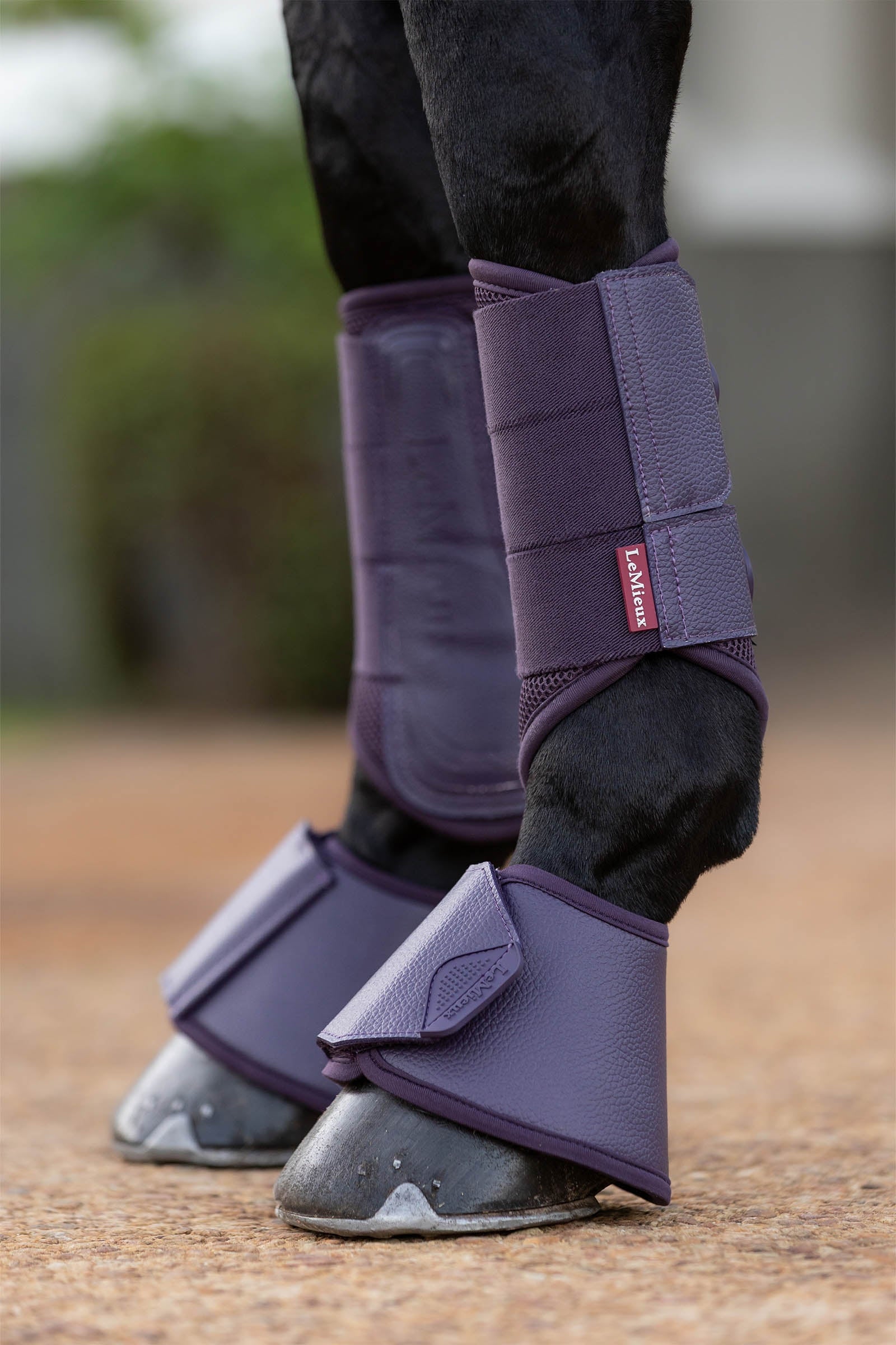 LeMieux Arika Over Reach Boots Leg Protection & Hoof Protection for Horses