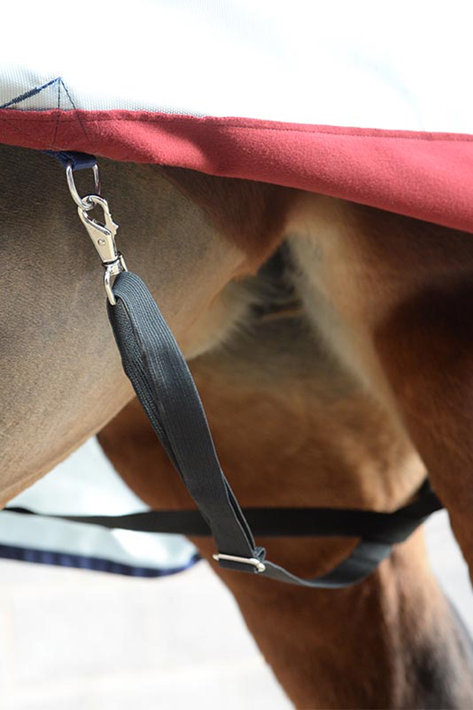 Bucas DeLuxe Elastic Leg Straps Horse Rugs