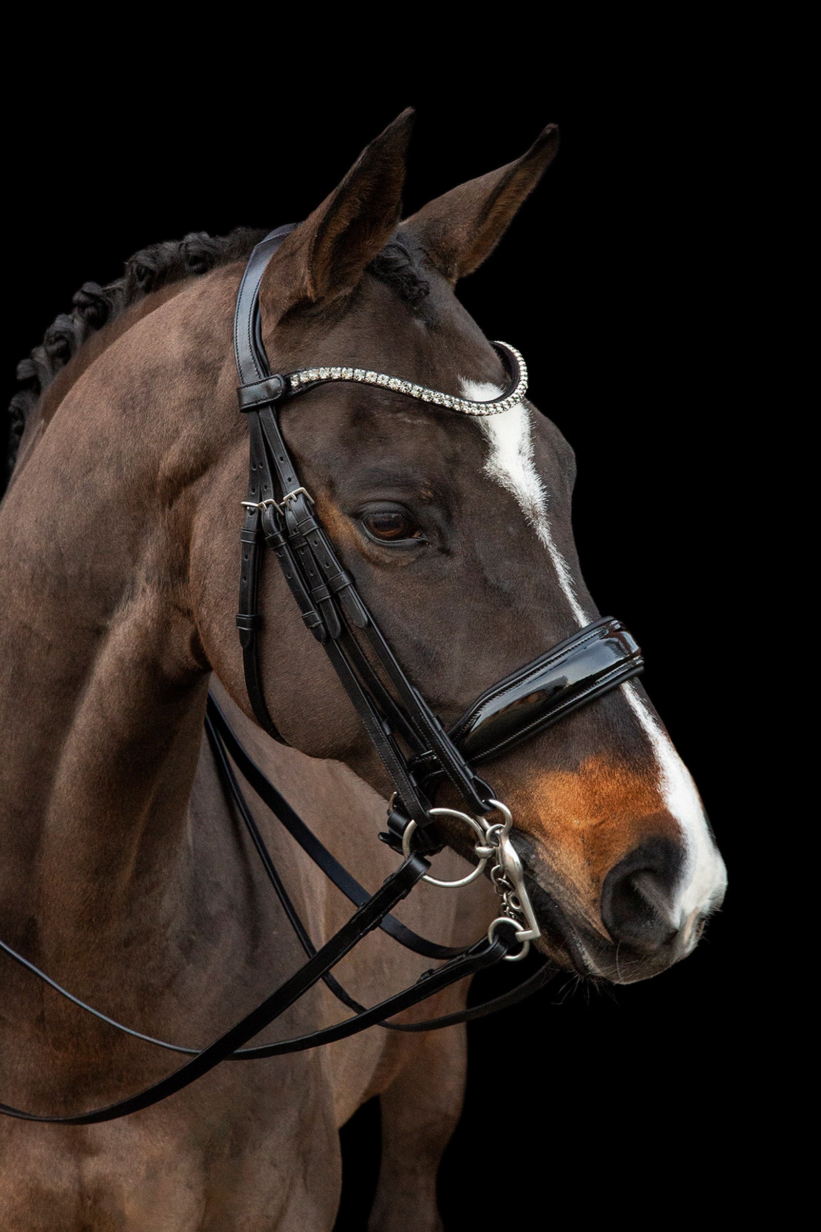 Schockemöhle Sports Milazzo Double Bridle Bridles & Reins