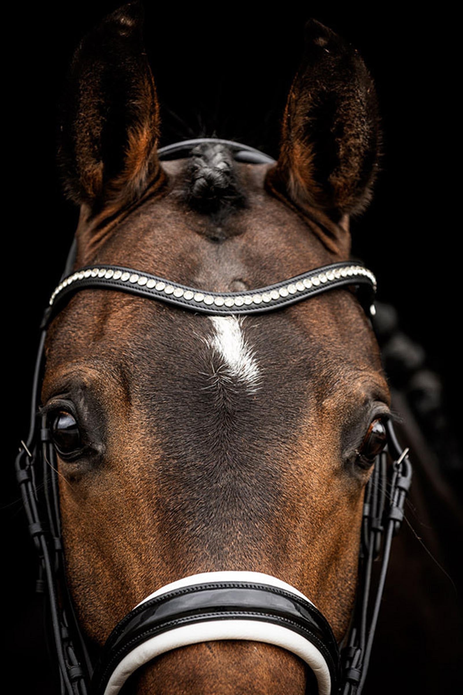 Anky ANKY Double Bridle, Extra Wide Headpiece Bridles & Reins