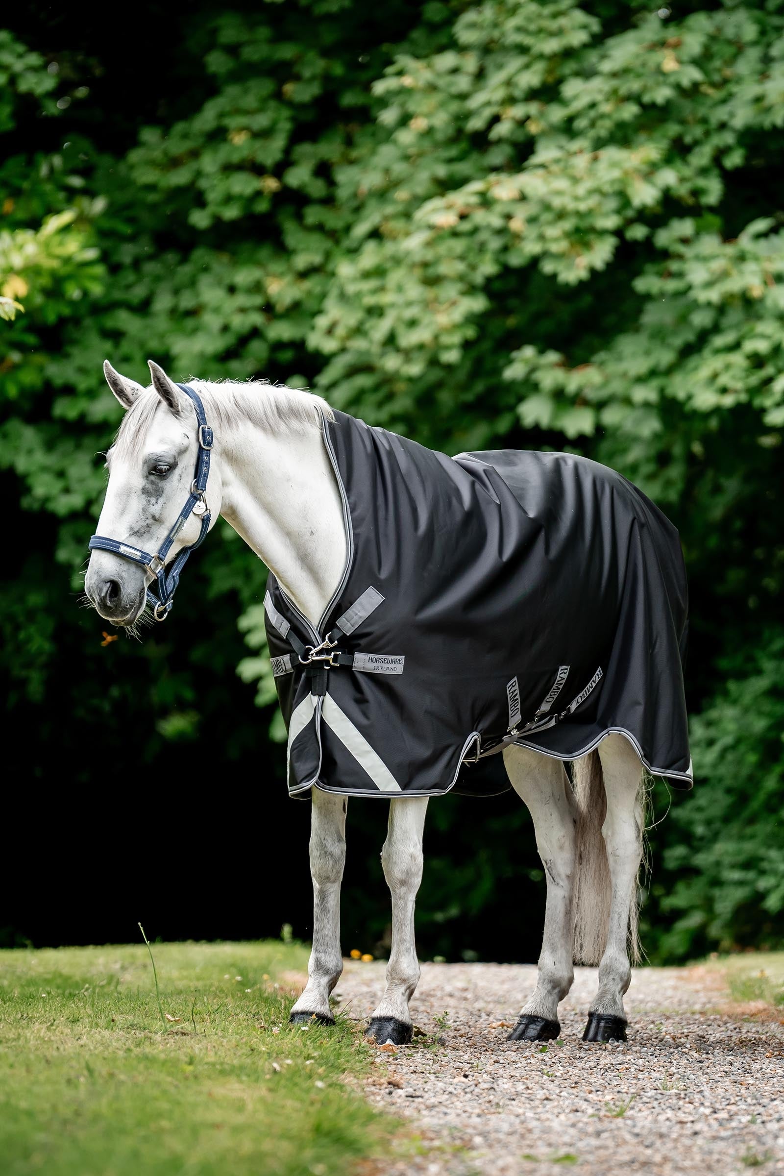 Horseware Rambo 1680D Wug Turnout 50 g Horse Rugs
