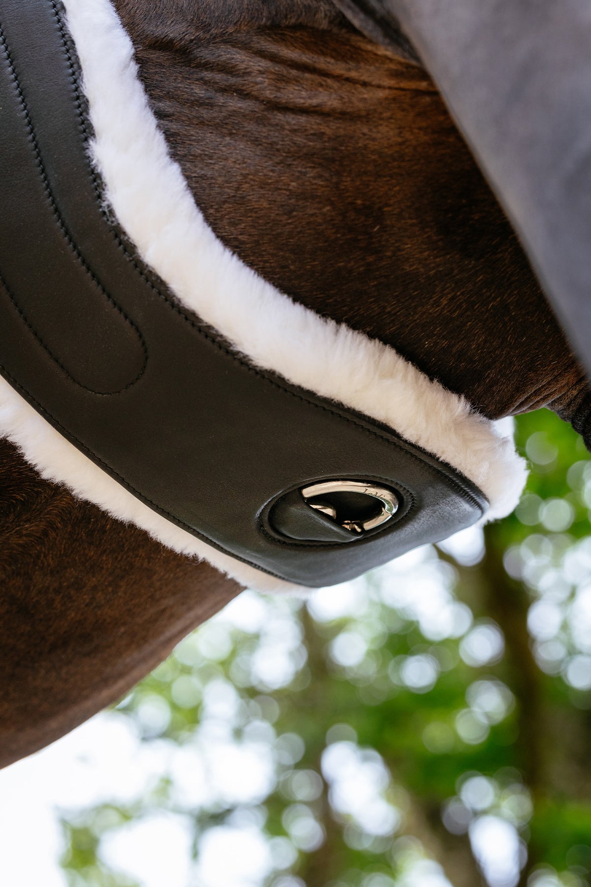 LeMieux Hunter Girth with Detachable Merino+ Liner Saddles, Girths & Stirrups