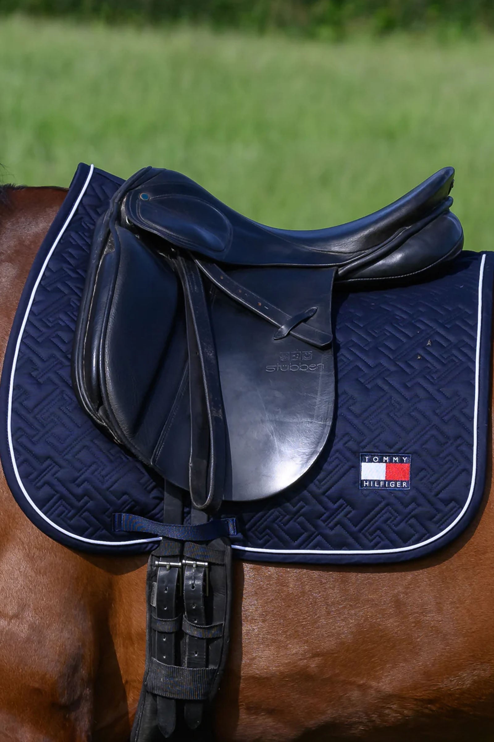 Tommy Hilfiger Equestrian Harvard Dressage Saddlepad Saddle Pads