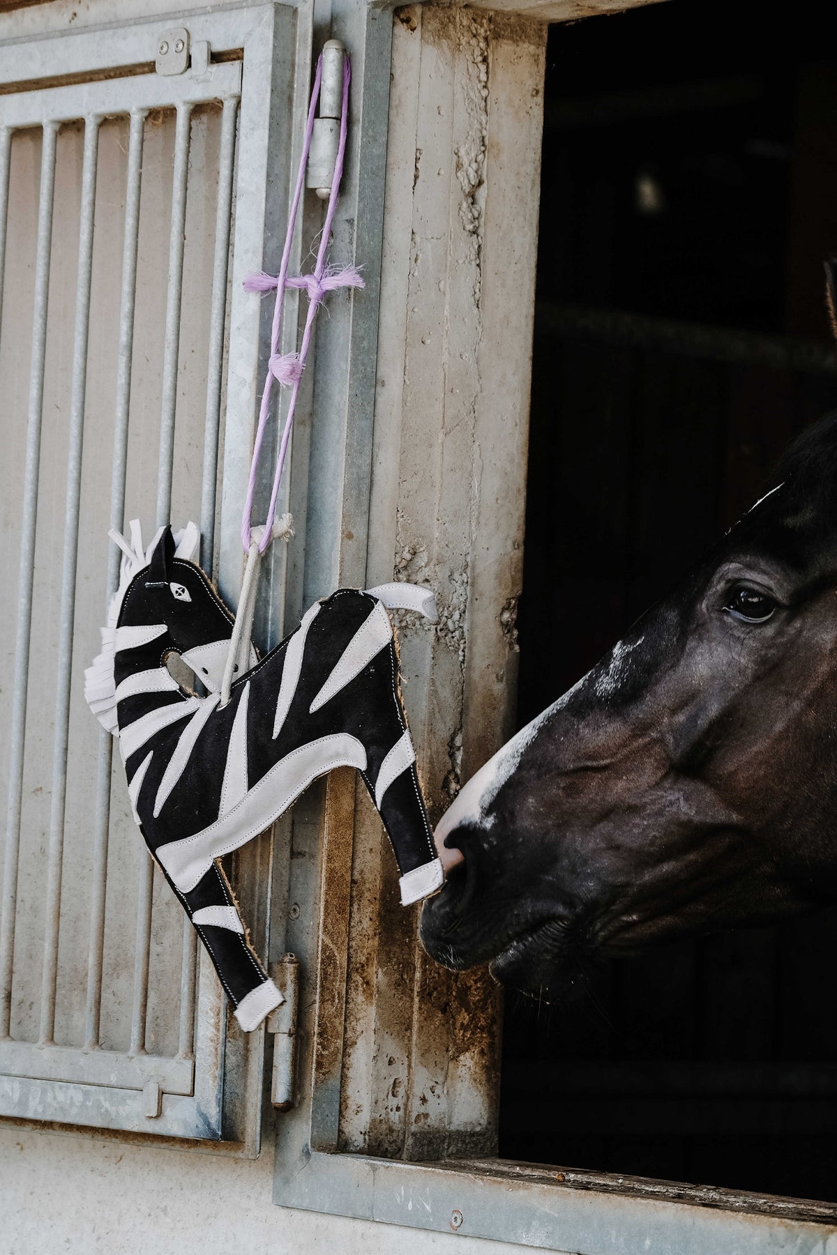 HIPPOTONIC Toy Zebra For Horses Horse Toys & Riding Arena Supplies