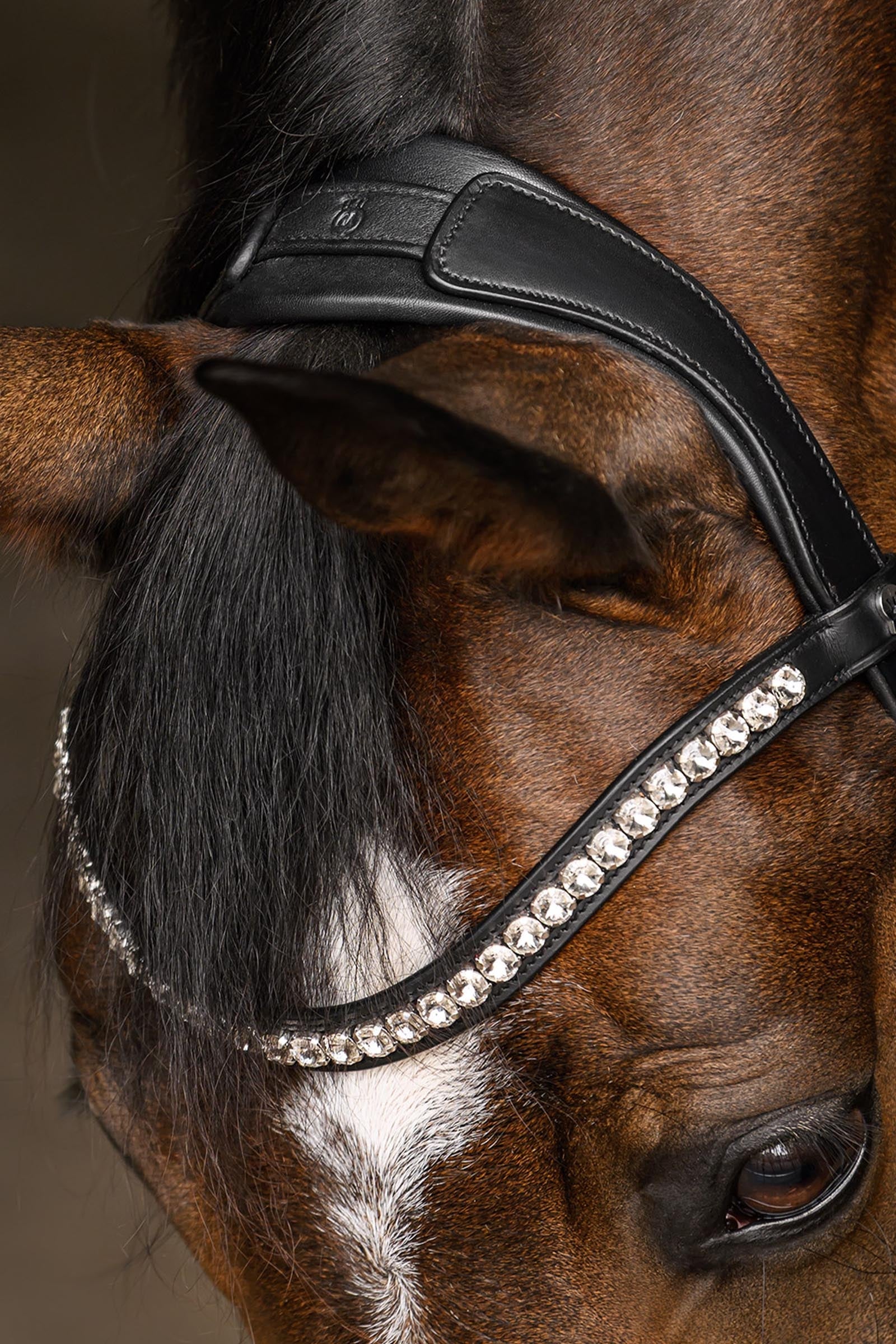 Waldhausen X-Line Evermore Bridle, Pullback Noseband Bridles & Reins