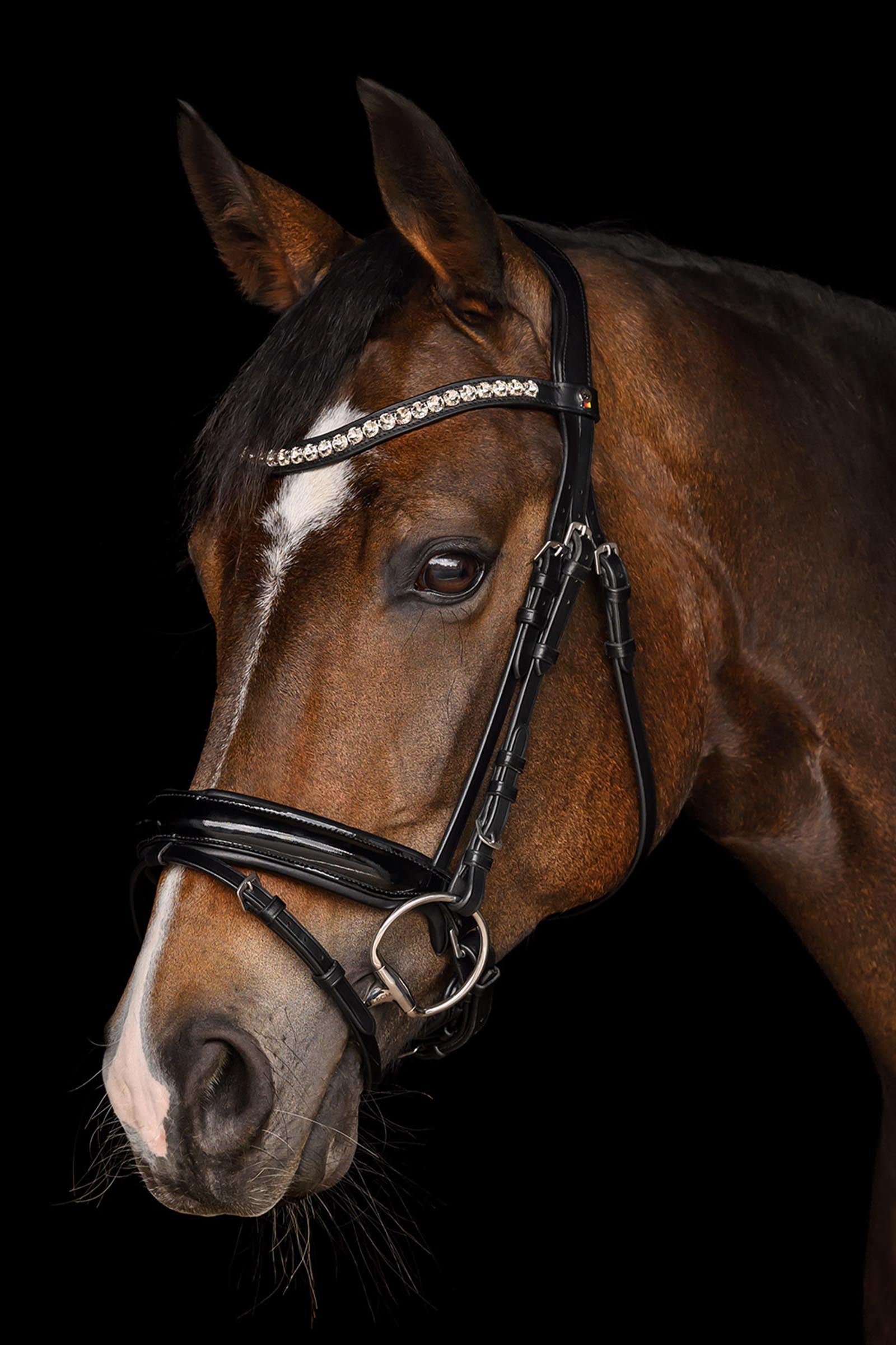 Waldhausen X-Line Evermore Bridle, Pullback Noseband Bridles & Reins