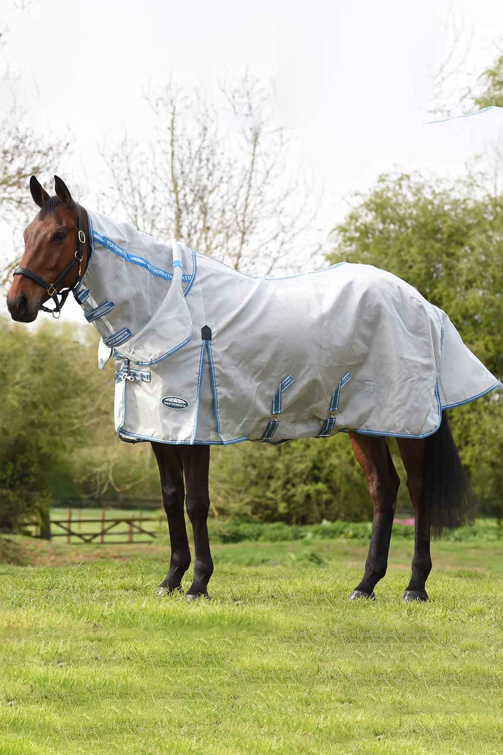 Weatherbeeta Comfitec Hexi Shield Combo Neck Horse Rugs