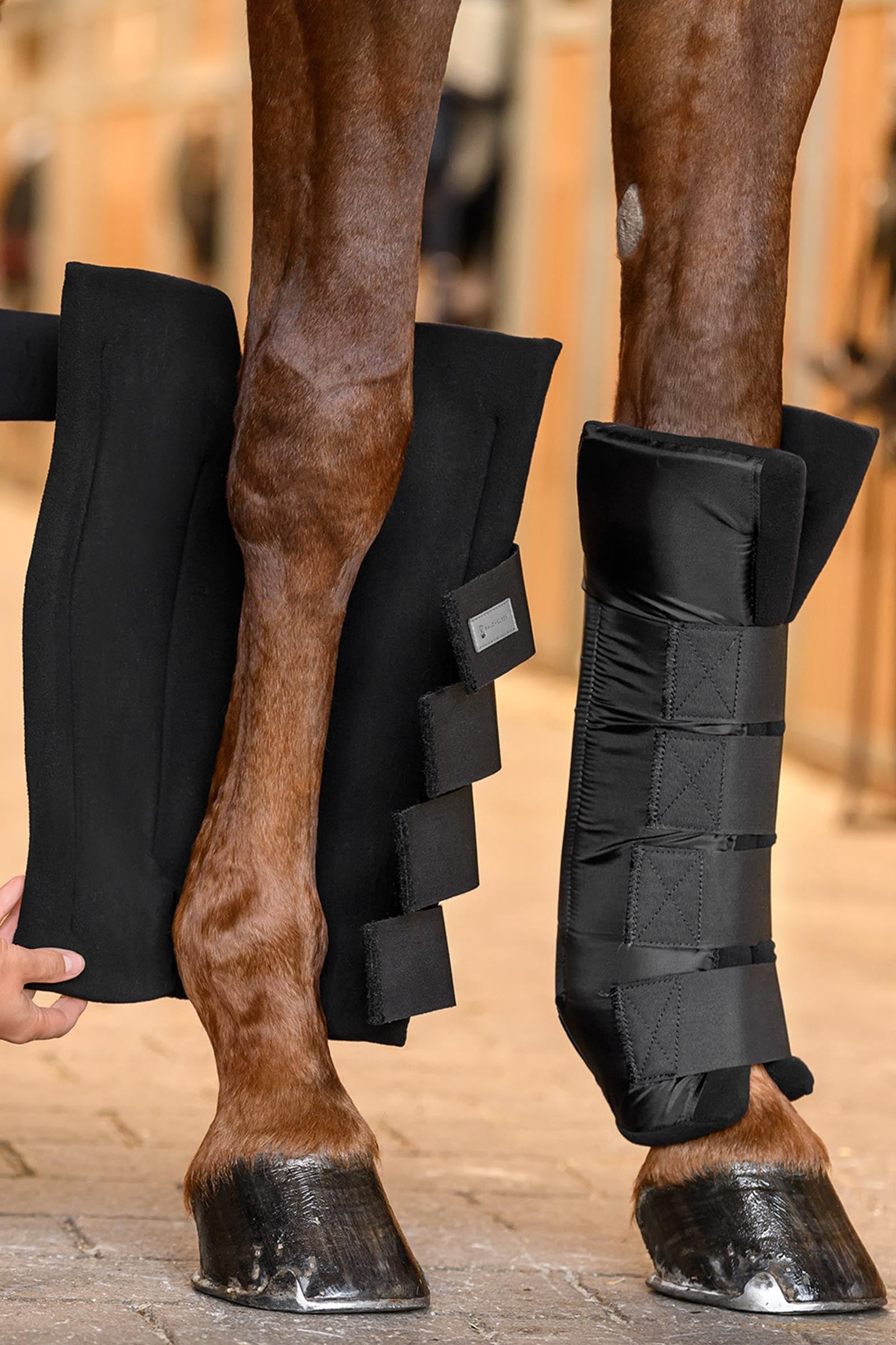 Waldhausen Front Stable Boots With Joint Support Leg Protection & Hoof Protection for Horses