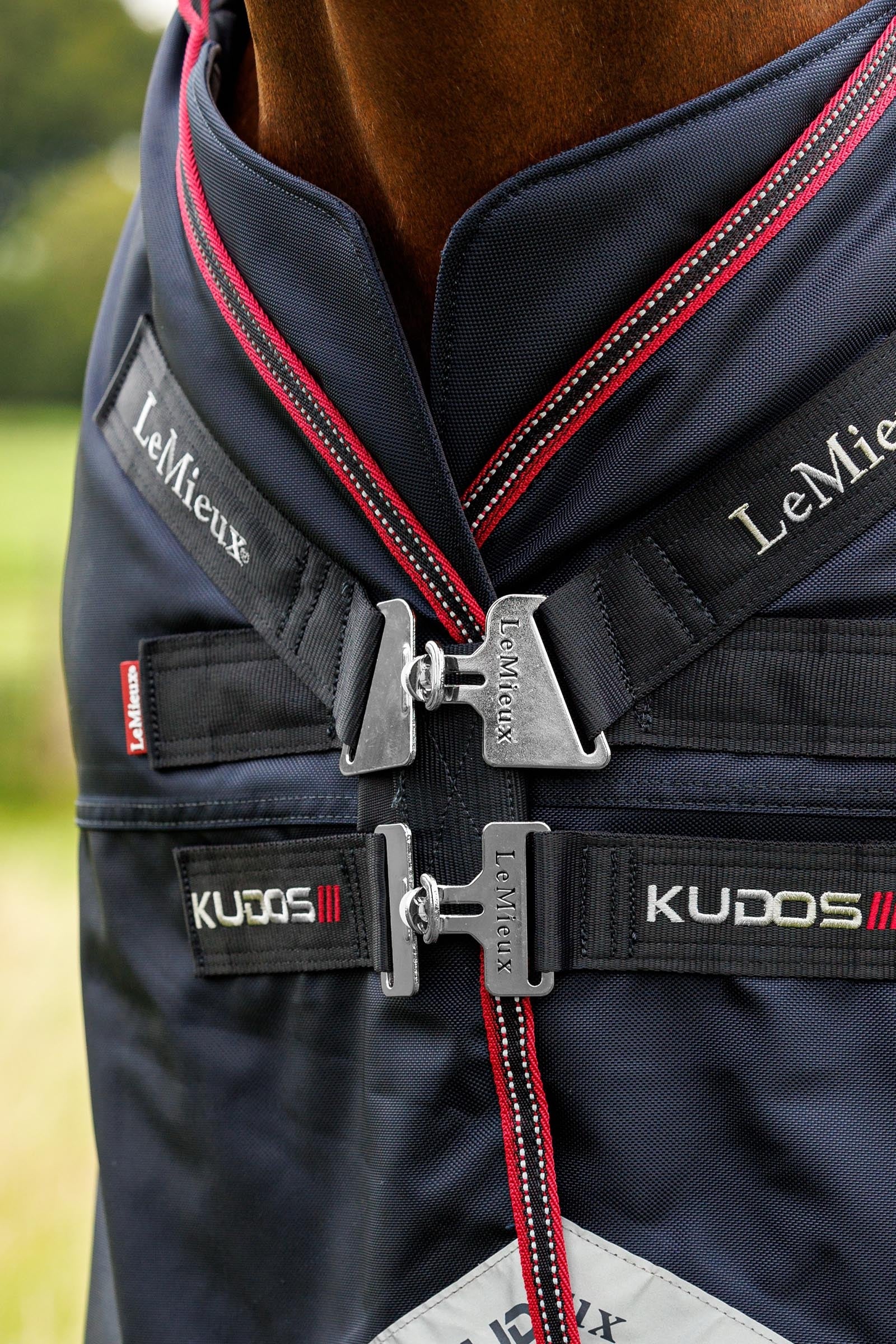 LeMieux Kudos Thermo Layer Turnout Rug, 300 g Horse Rugs