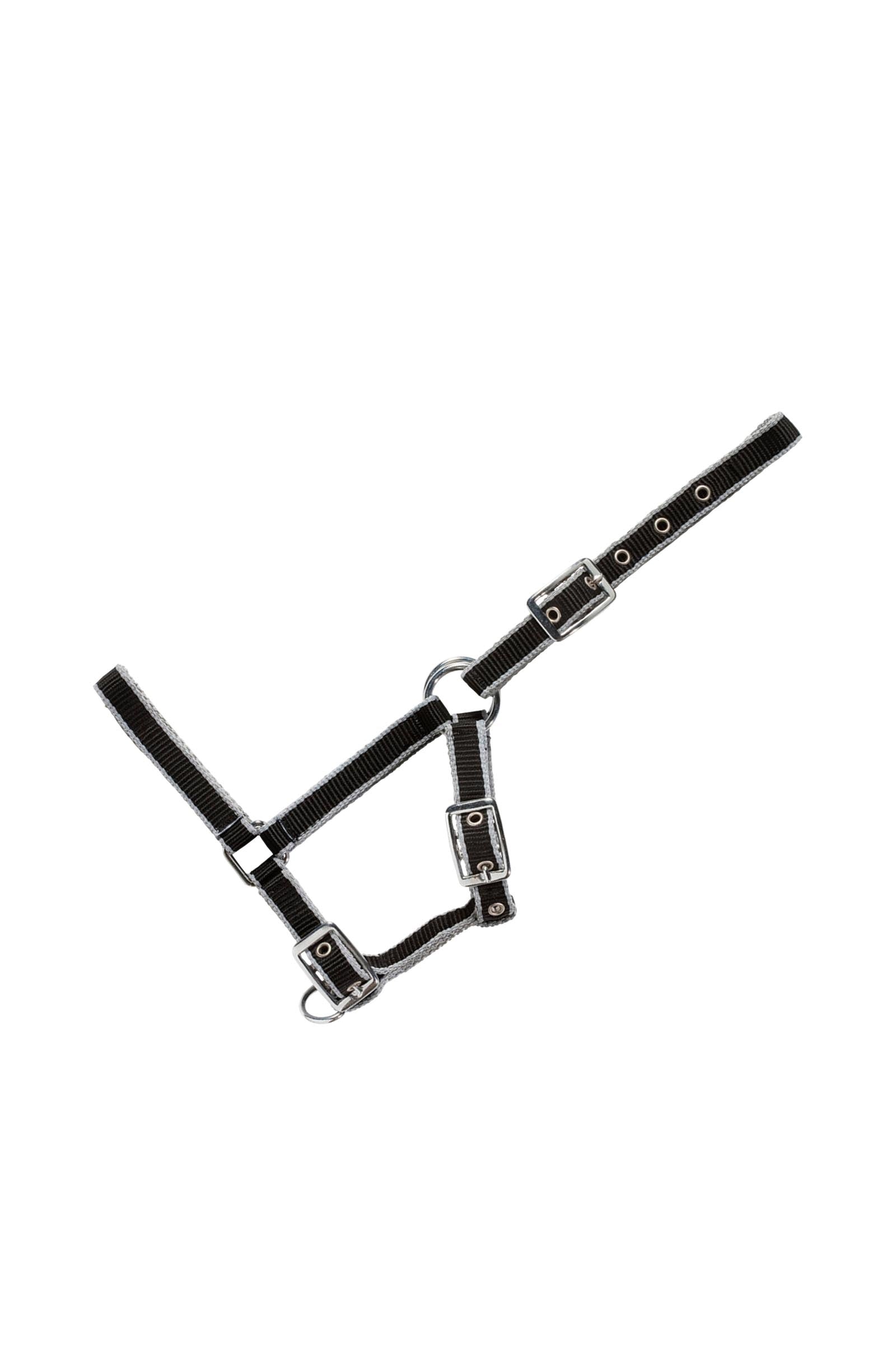 USG Adjustable Foal Halter Kantary i uwiązy