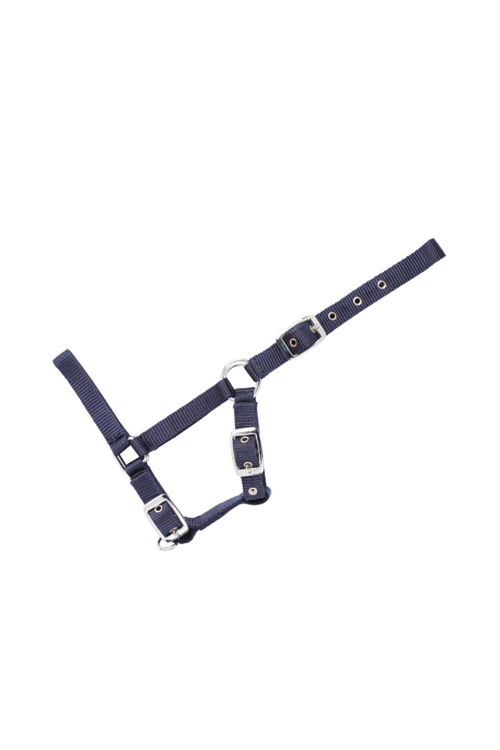 USG Adjustable Foal Halter Halters & Leads