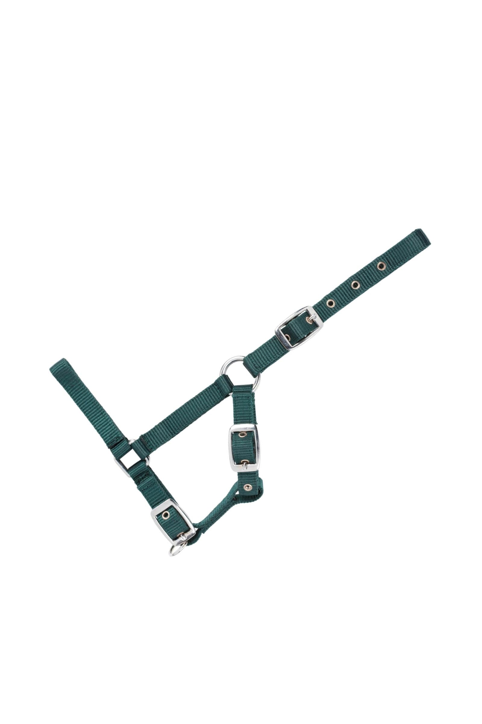 USG Adjustable Foal Halter Halters & Leads