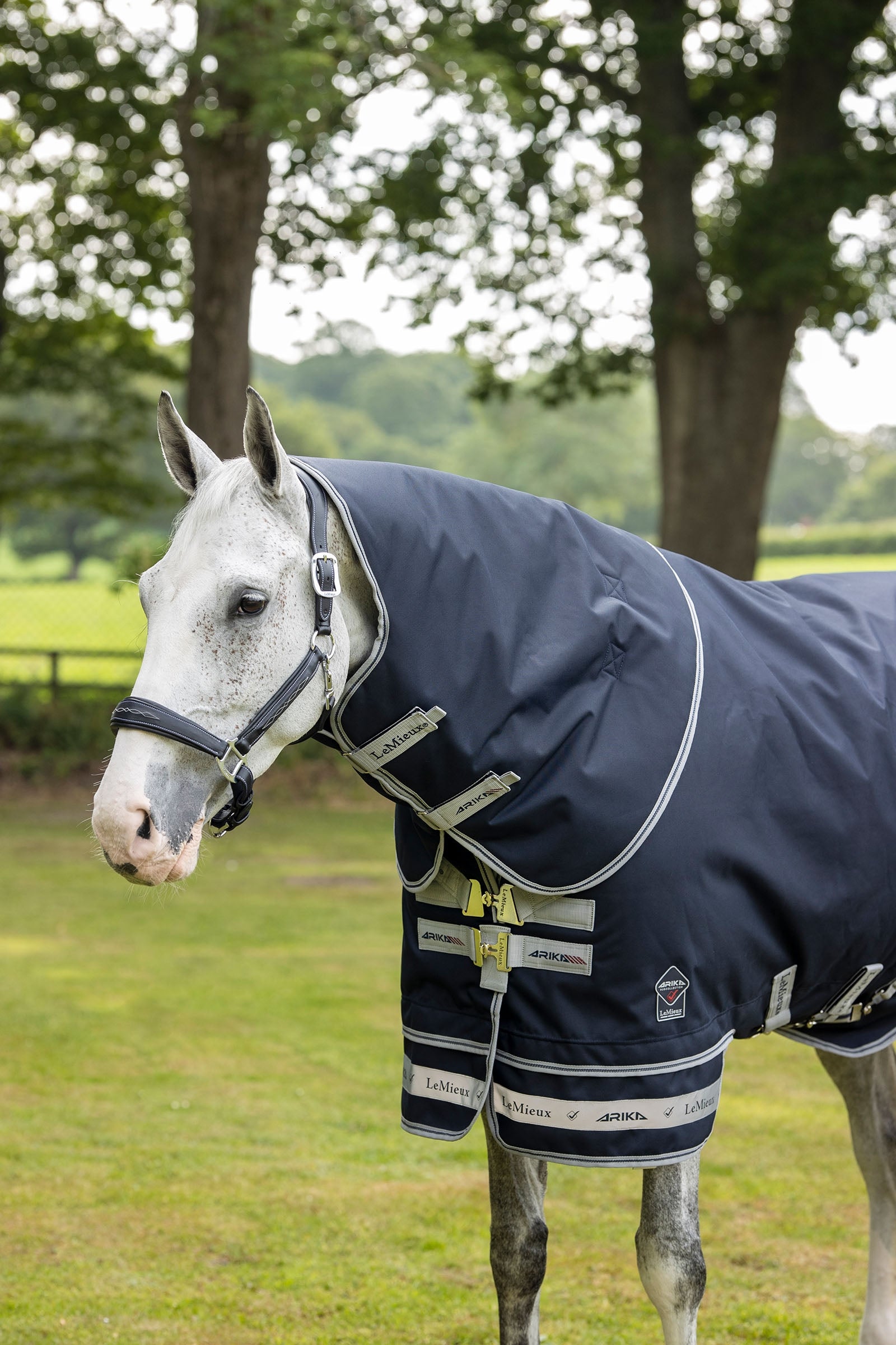 LeMieux Arika Featherweight Rug 0g Horse Rugs