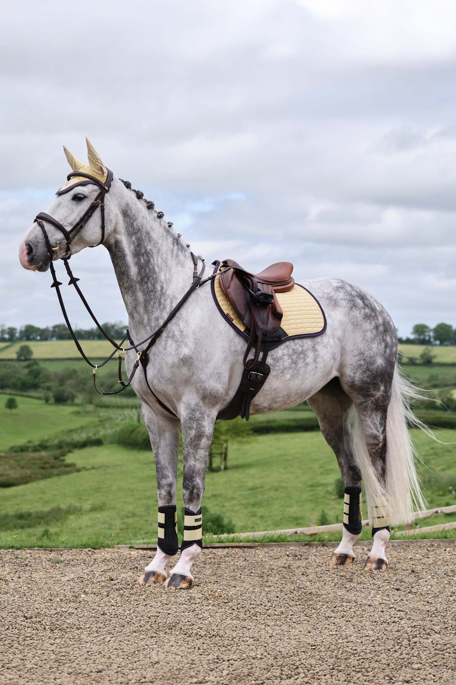 LeMieux Suede Square Close Contact Saddle Pad Saddle Pads