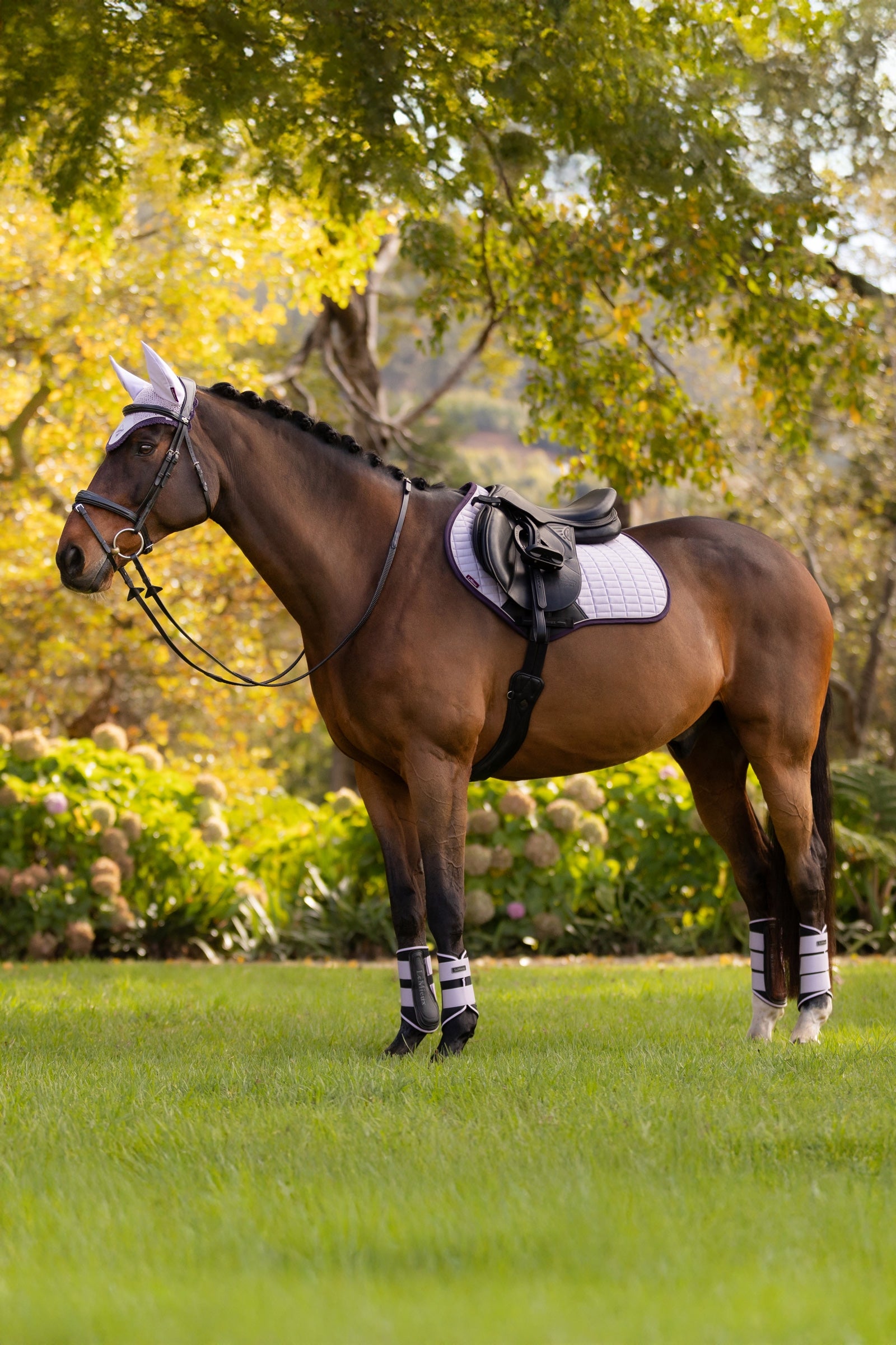 LeMieux Suede Square Close Contact Saddle Pad Saddle Pads