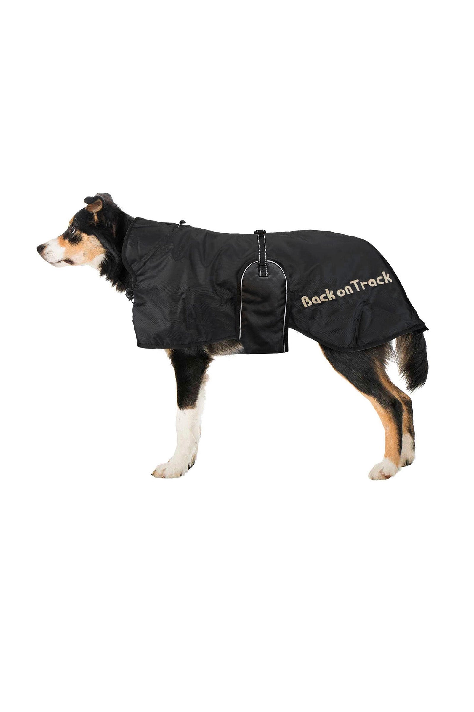 Back on Track Derka dla psa 43-59 Pies