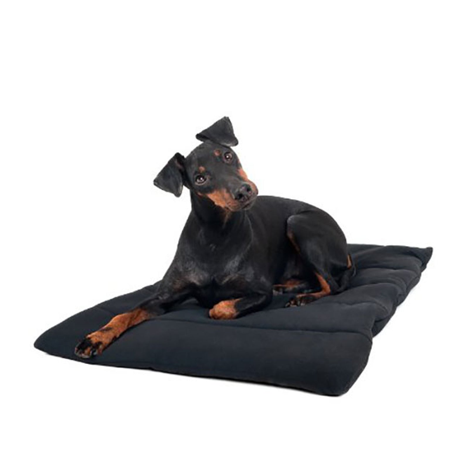 Back on Track Kocyk dla psa Back on Track Pies