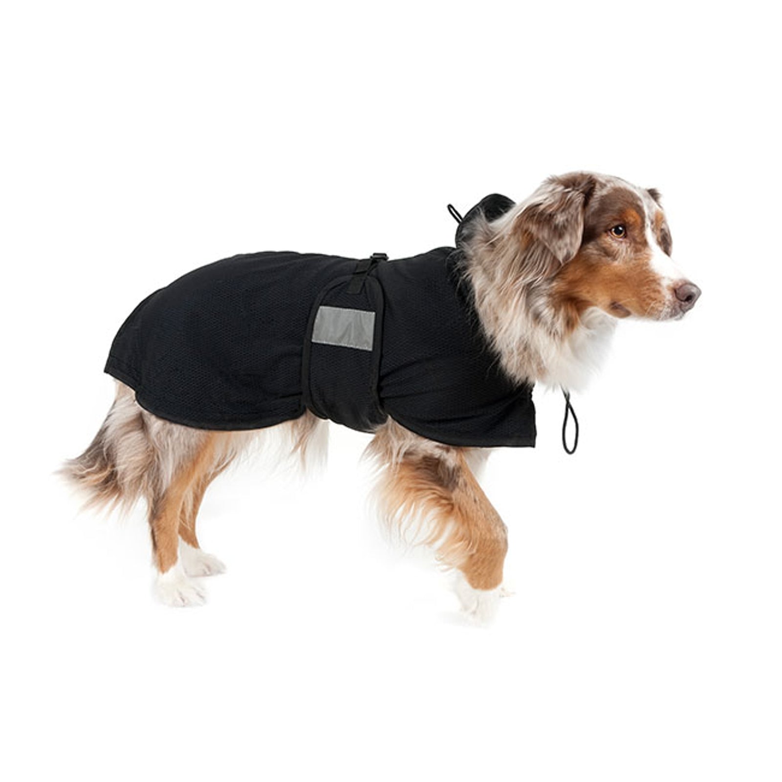 Back on Track Dachshund Mesh Rug Dog Accesories