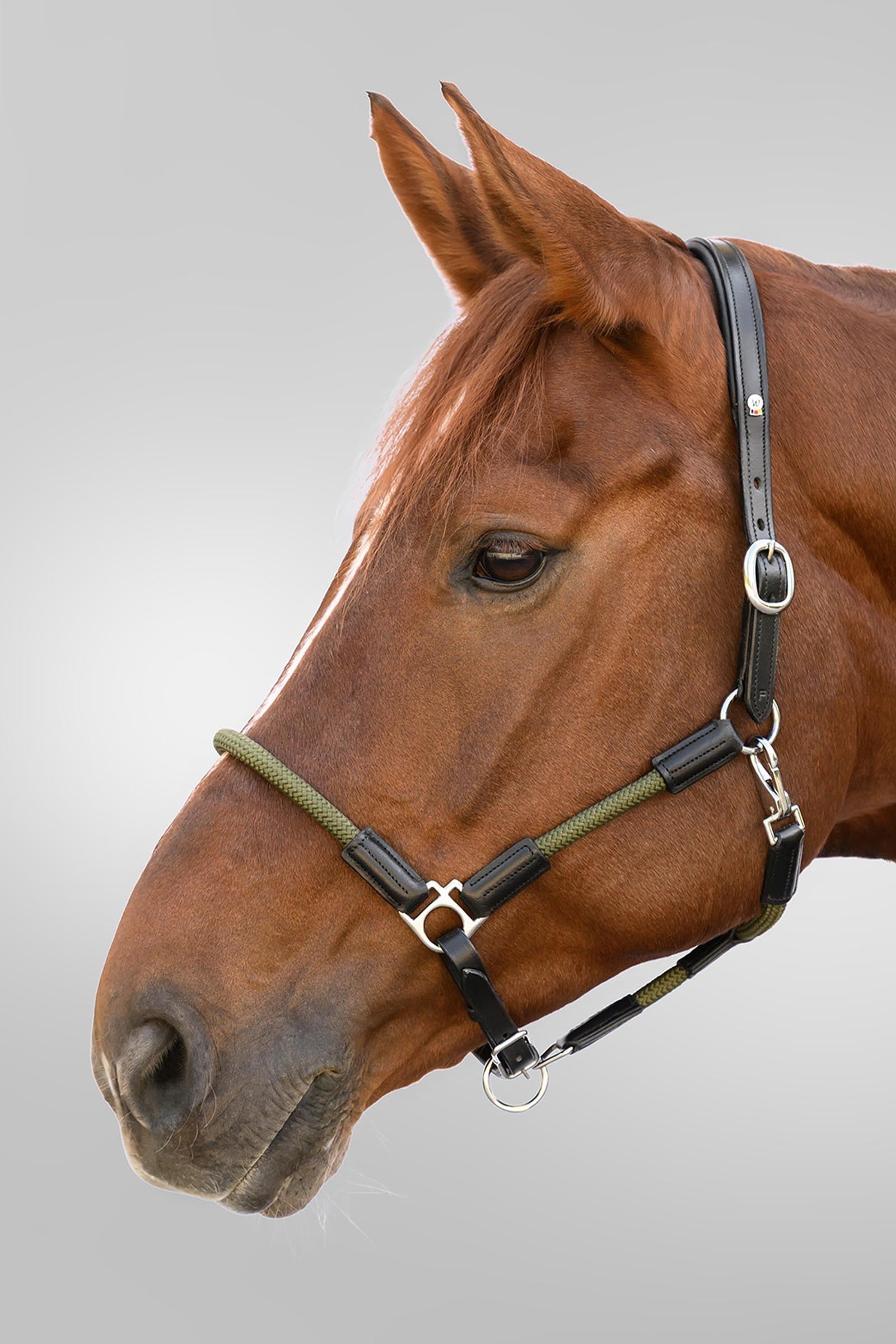 Waldhausen X-Line Nevada Leather Halter Halters & Leads