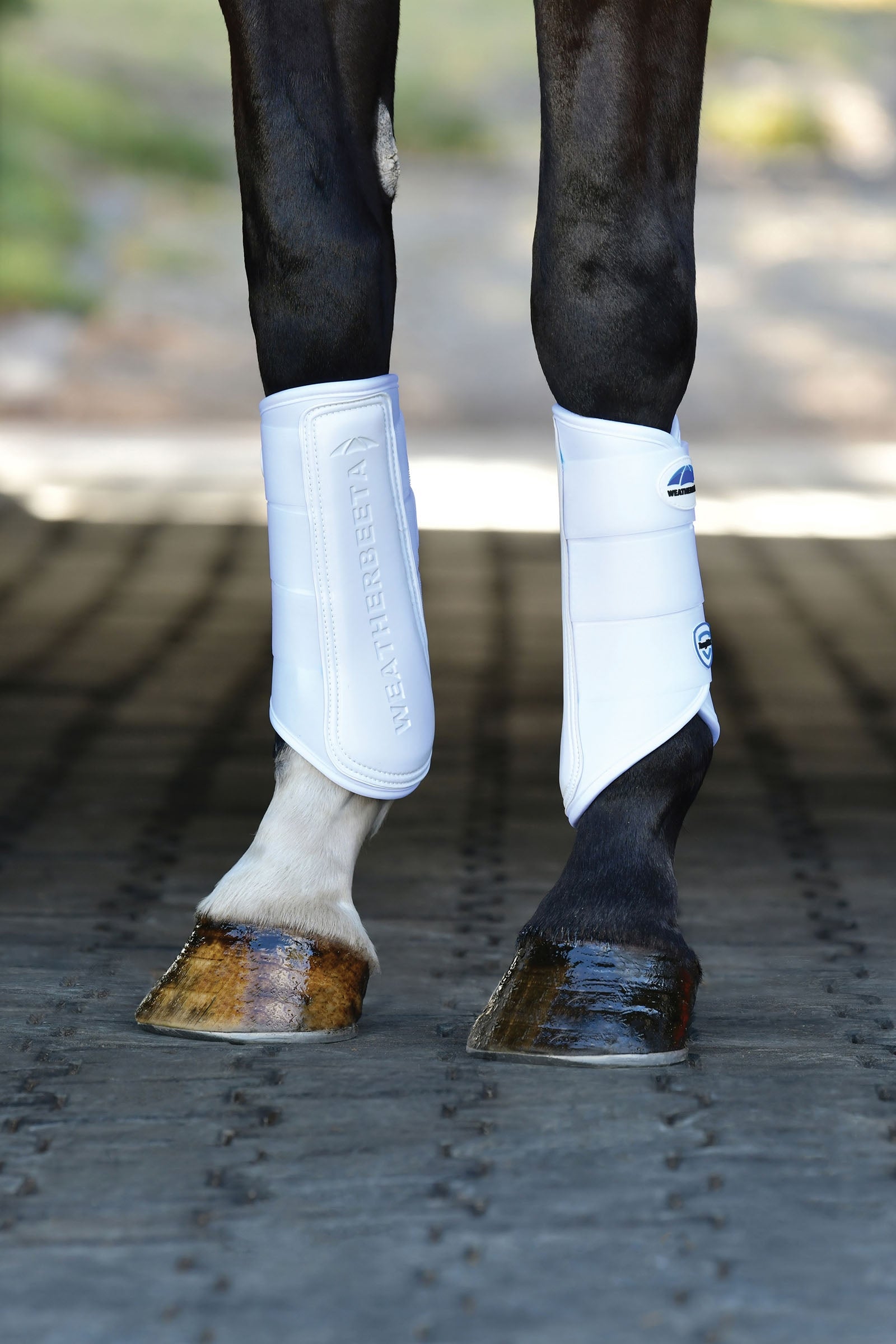 Weatherbeeta Tough-Tec Prime Brushing Boots Leg & Hoof Protection