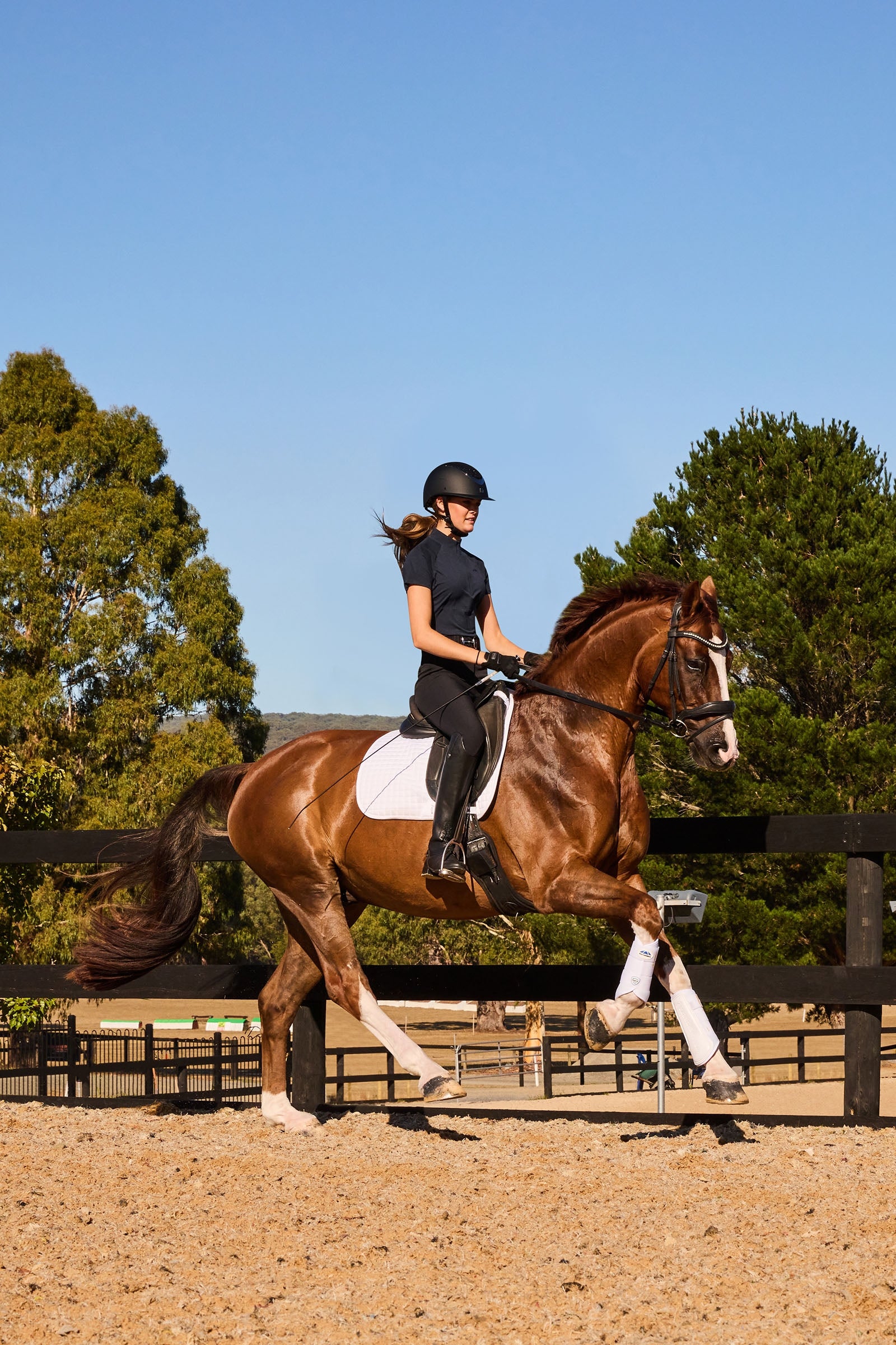 Weatherbeeta Tough-Tec Prime Brushing Boots Leg & Hoof Protection