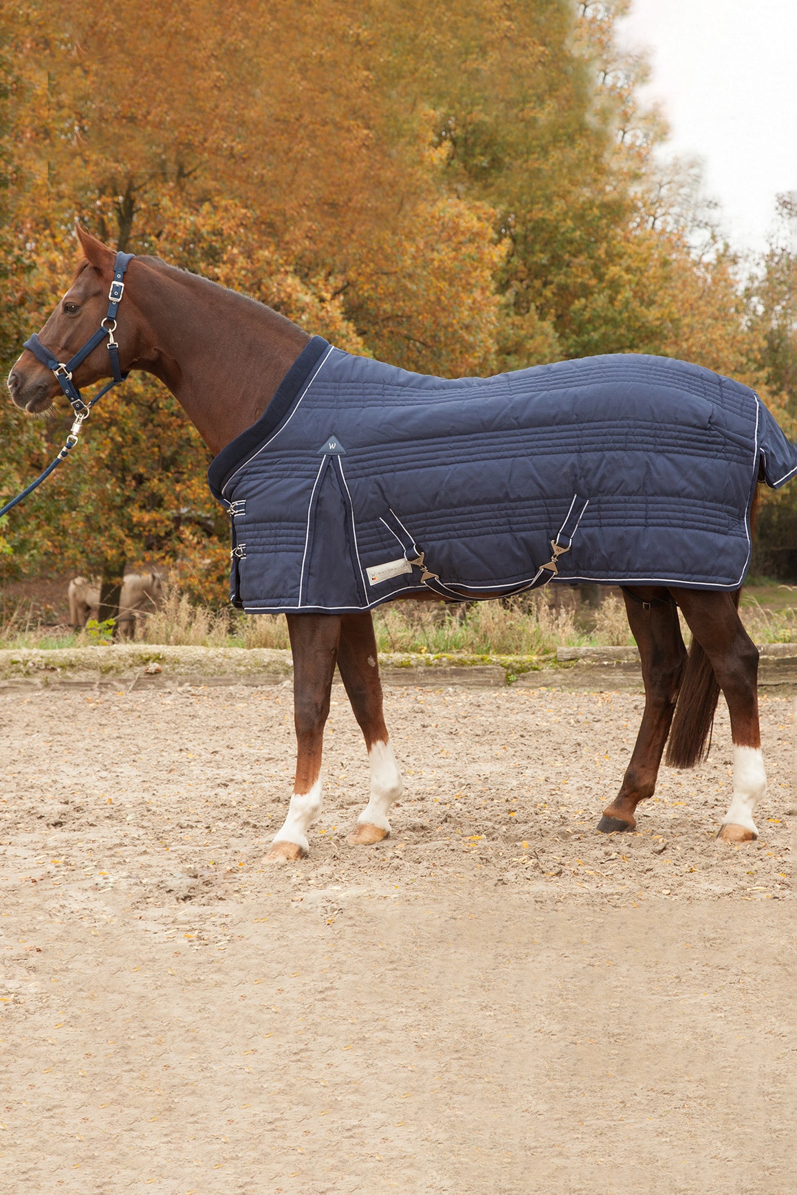 Waldhausen Stable Rug Comfort Line 200g Horse Rugs