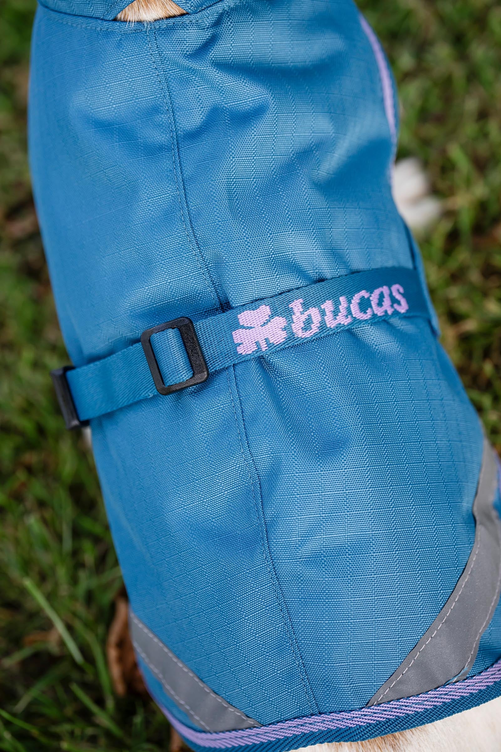 Bucas Freedom Dog Rug, 150g (50-85 cm) Dog Accesories