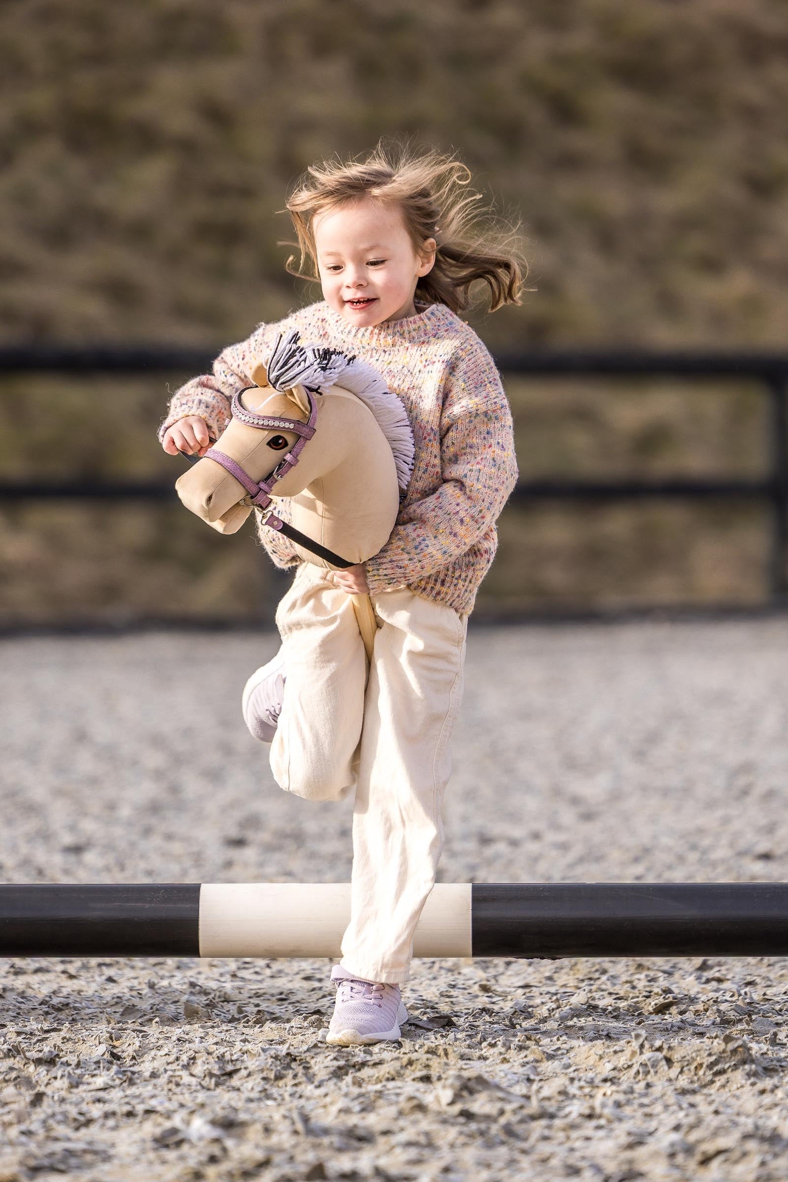 My Hobby Horse Fjord Gifts & Toys