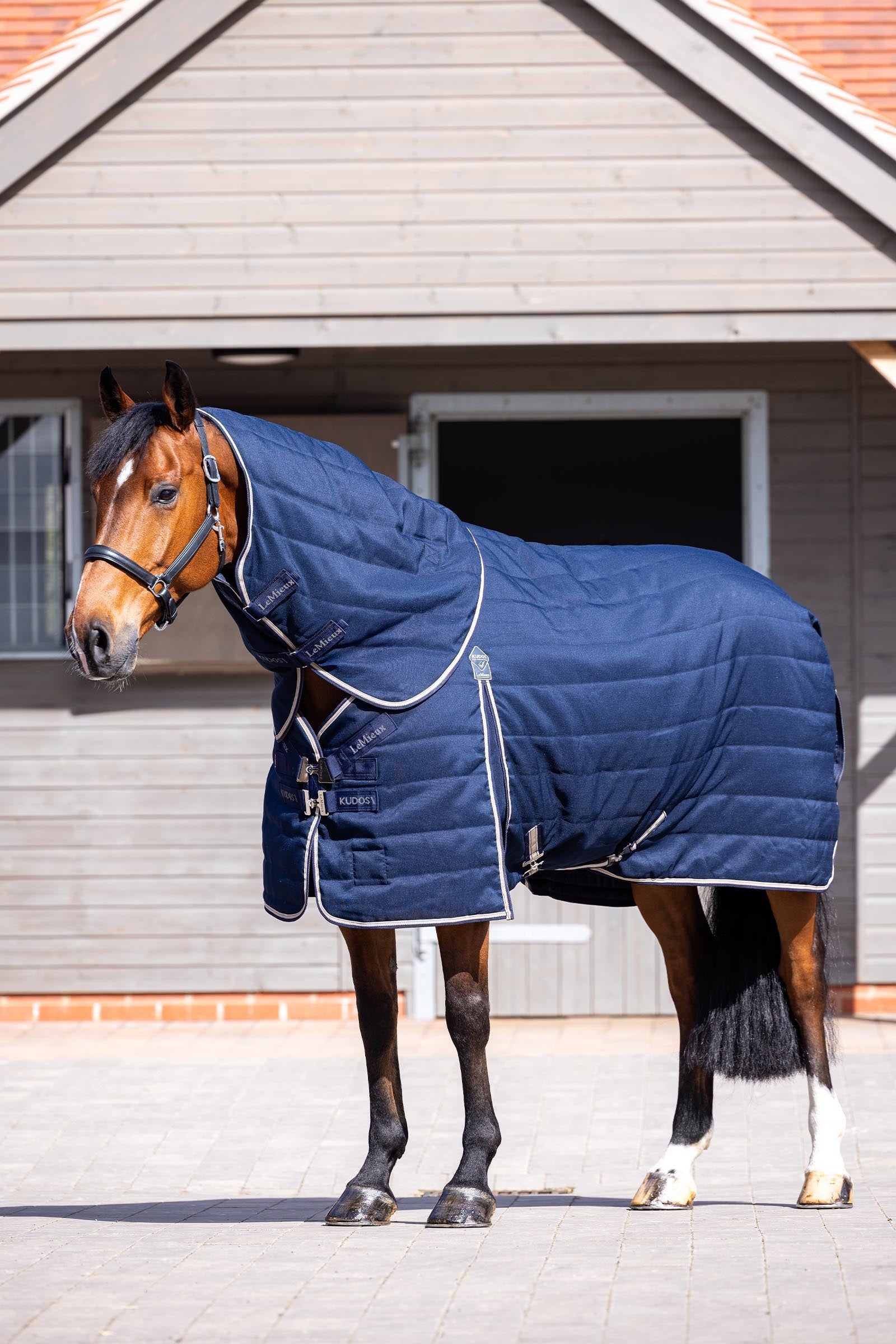 LeMieux Kudos Stable Rug, 200 g Horse Rugs