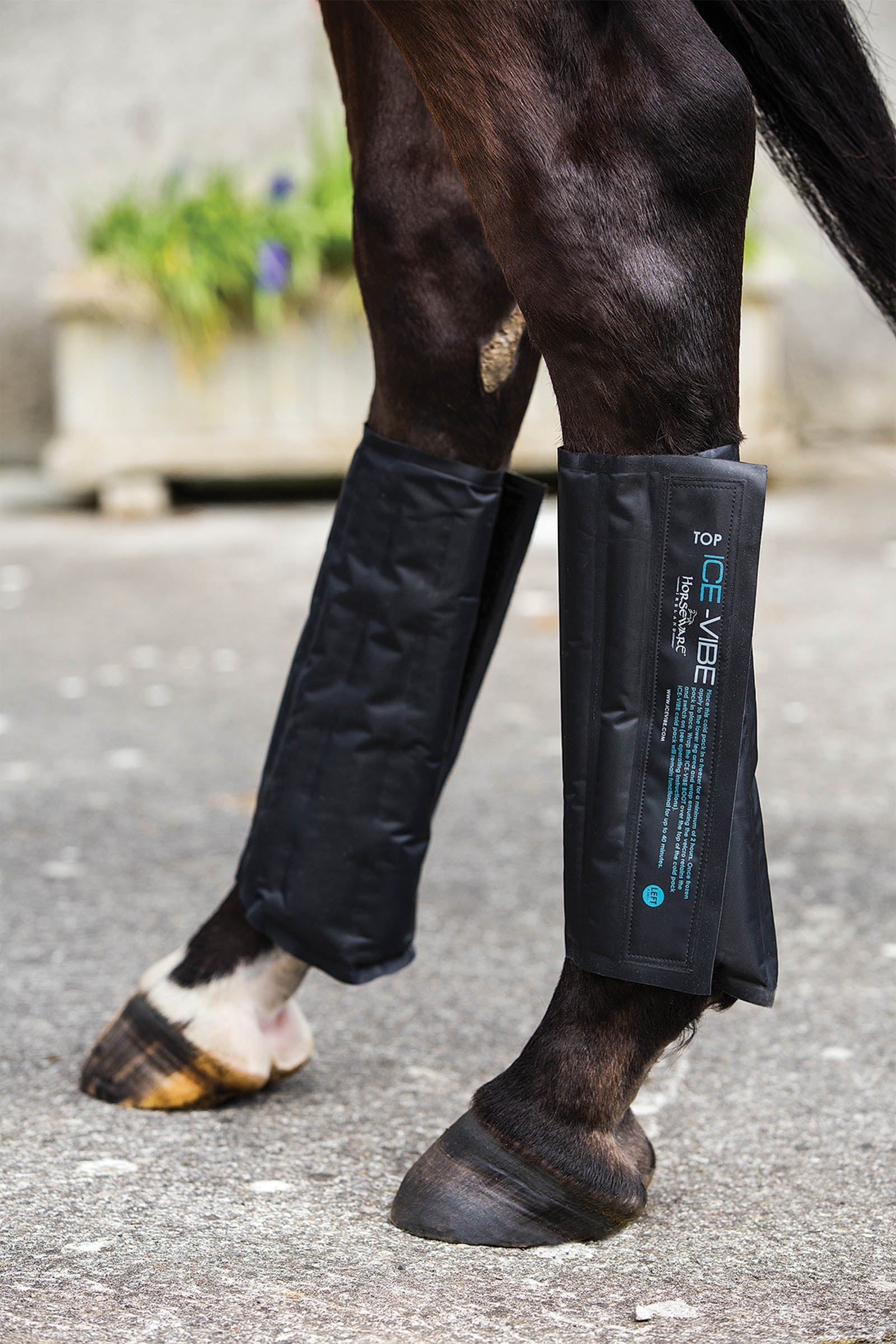 Horseware Ice-Vibe Cold Packs (1 Pair) Leg Protection & Hoof Protection for Horses