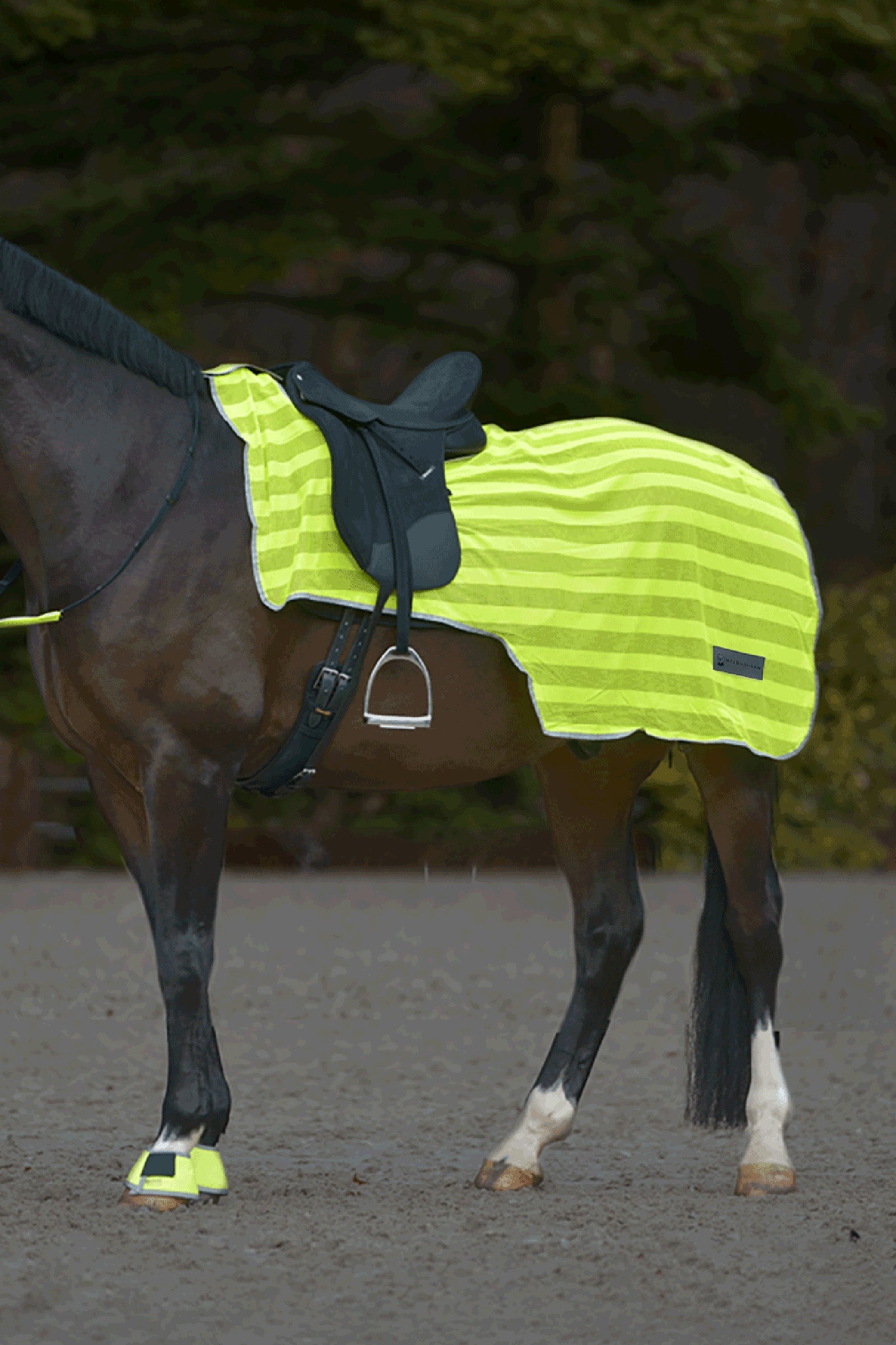 Waldhausen REFLEX Derka treningowa Reflective