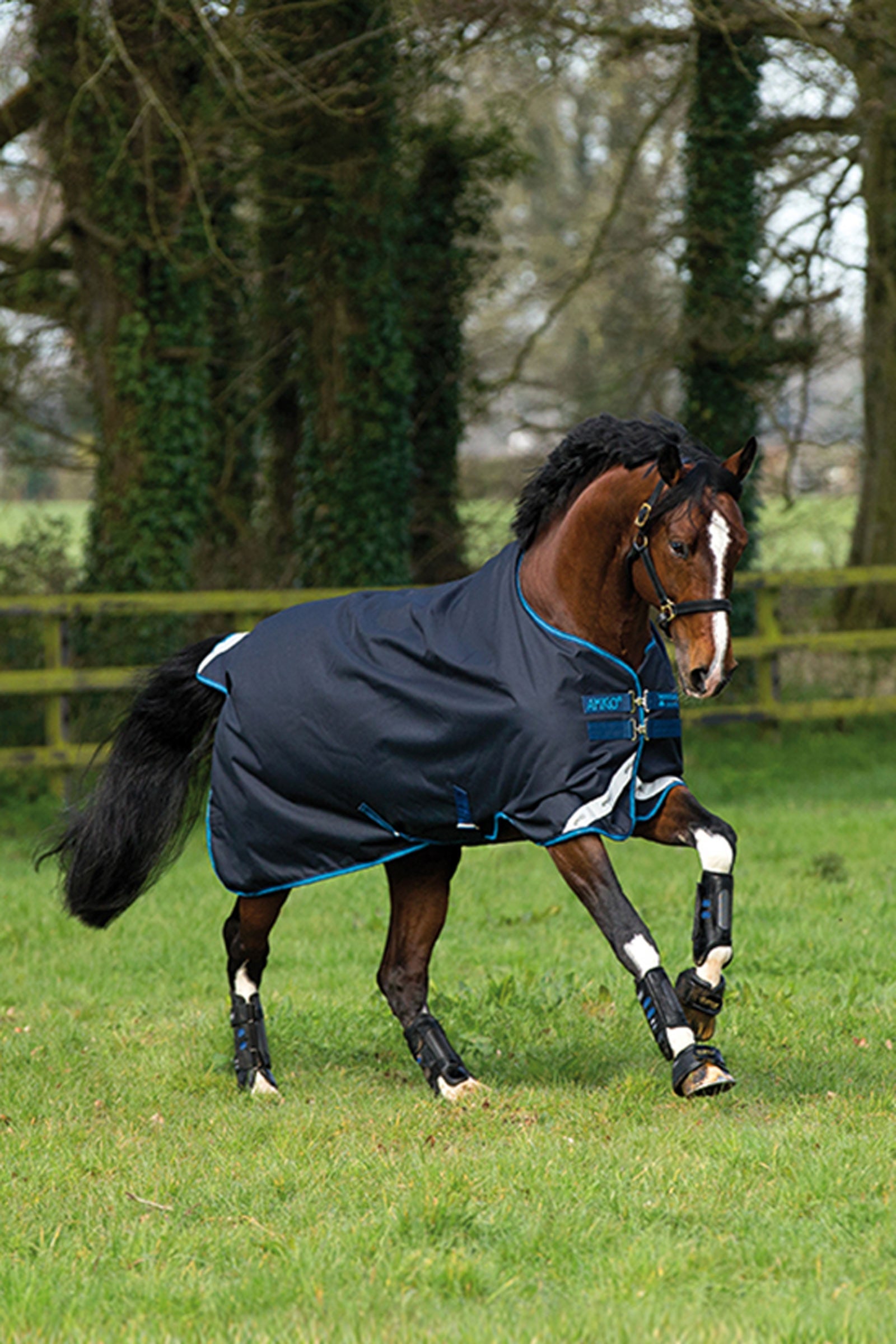 Horseware Amigo Bravo 12 Turnout Rug, 100g Horse Rugs