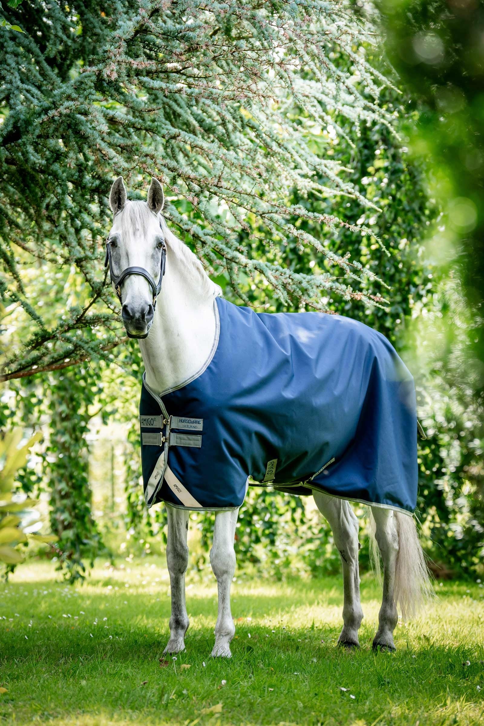 Horseware Amigo Bravo 12 derka padokowa, 100g Derki