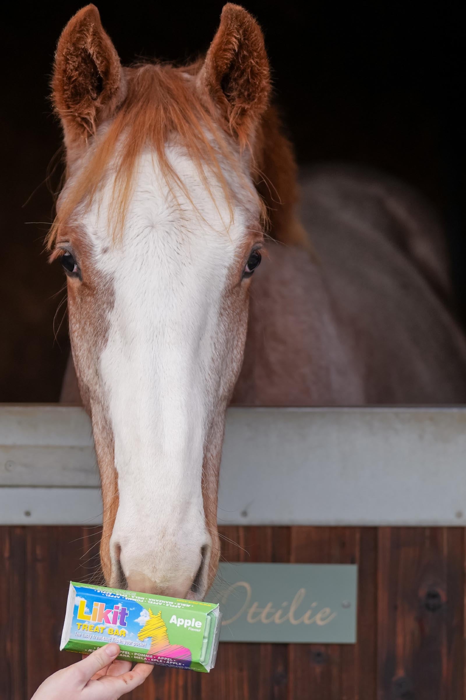 Lifestyle shot 2