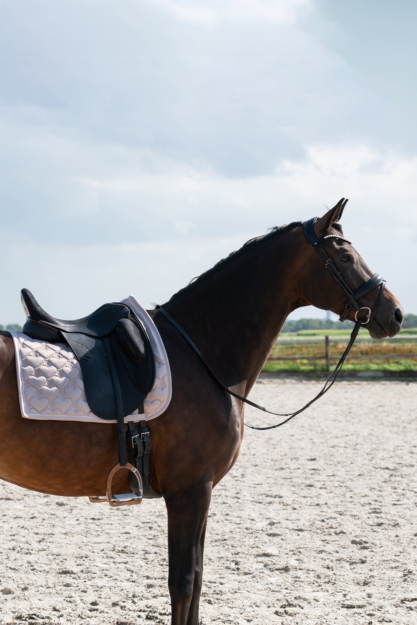 PS of Sweden Heart Dressage Saddle Pad Saddle Pads