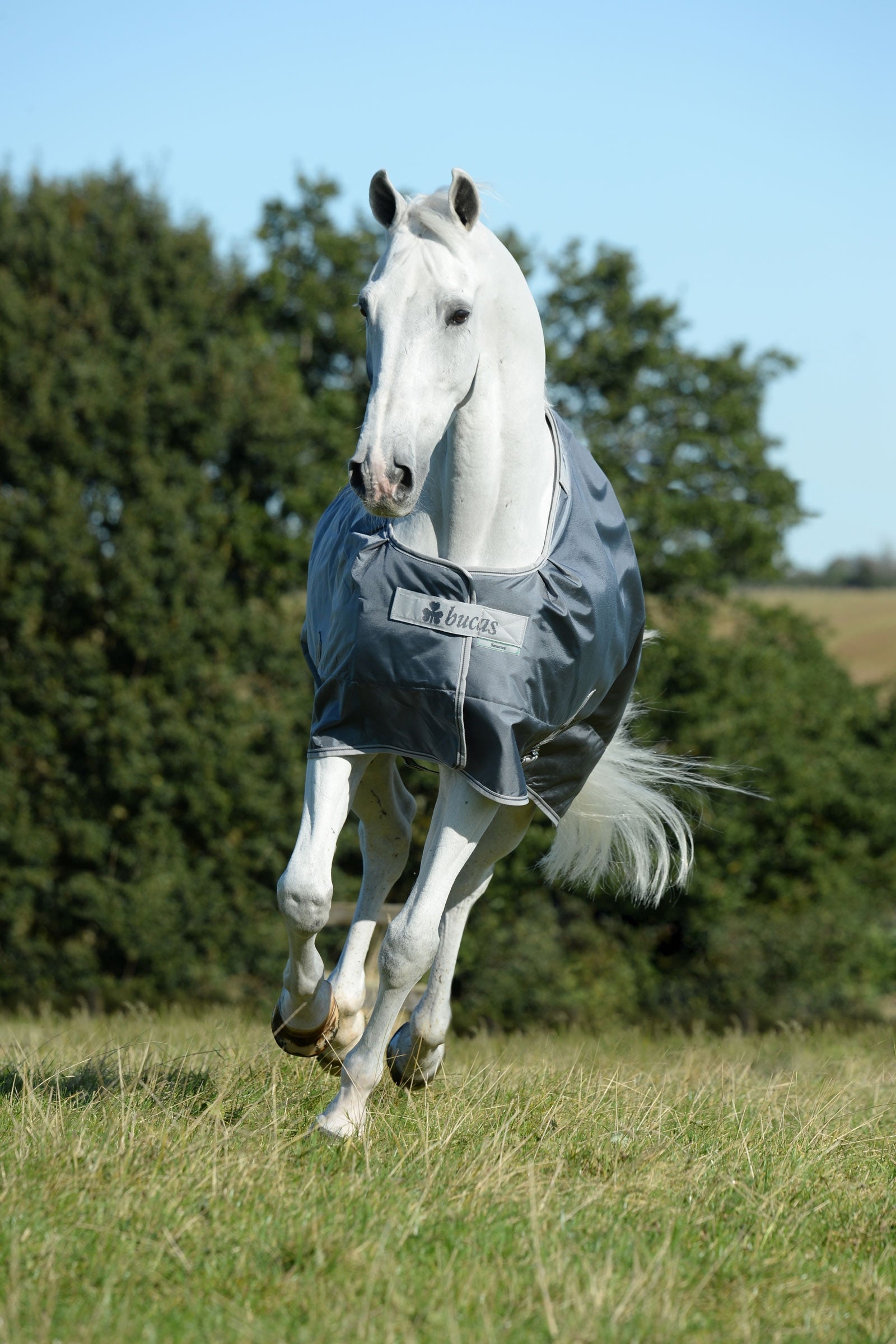 Bucas Smartex Medium Turnout Rug, 150g Horse Rugs