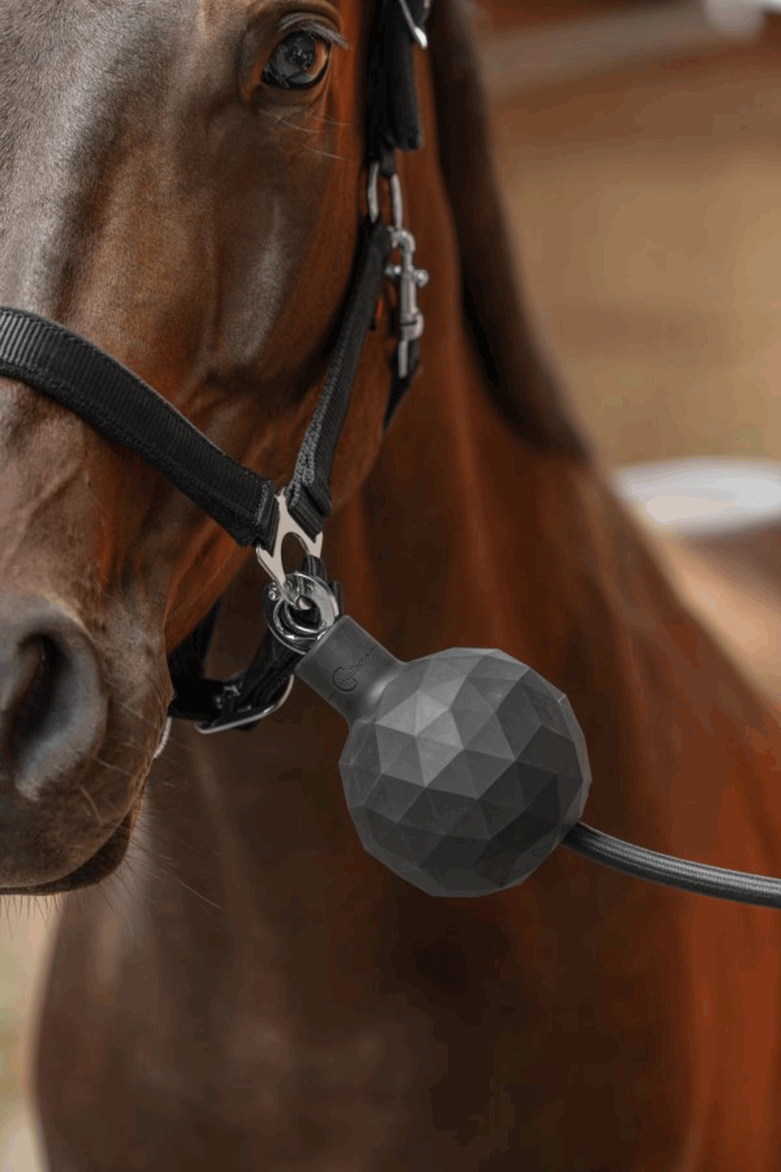 Covalliero Tethering Protection Rubber Ball Stable Equipment