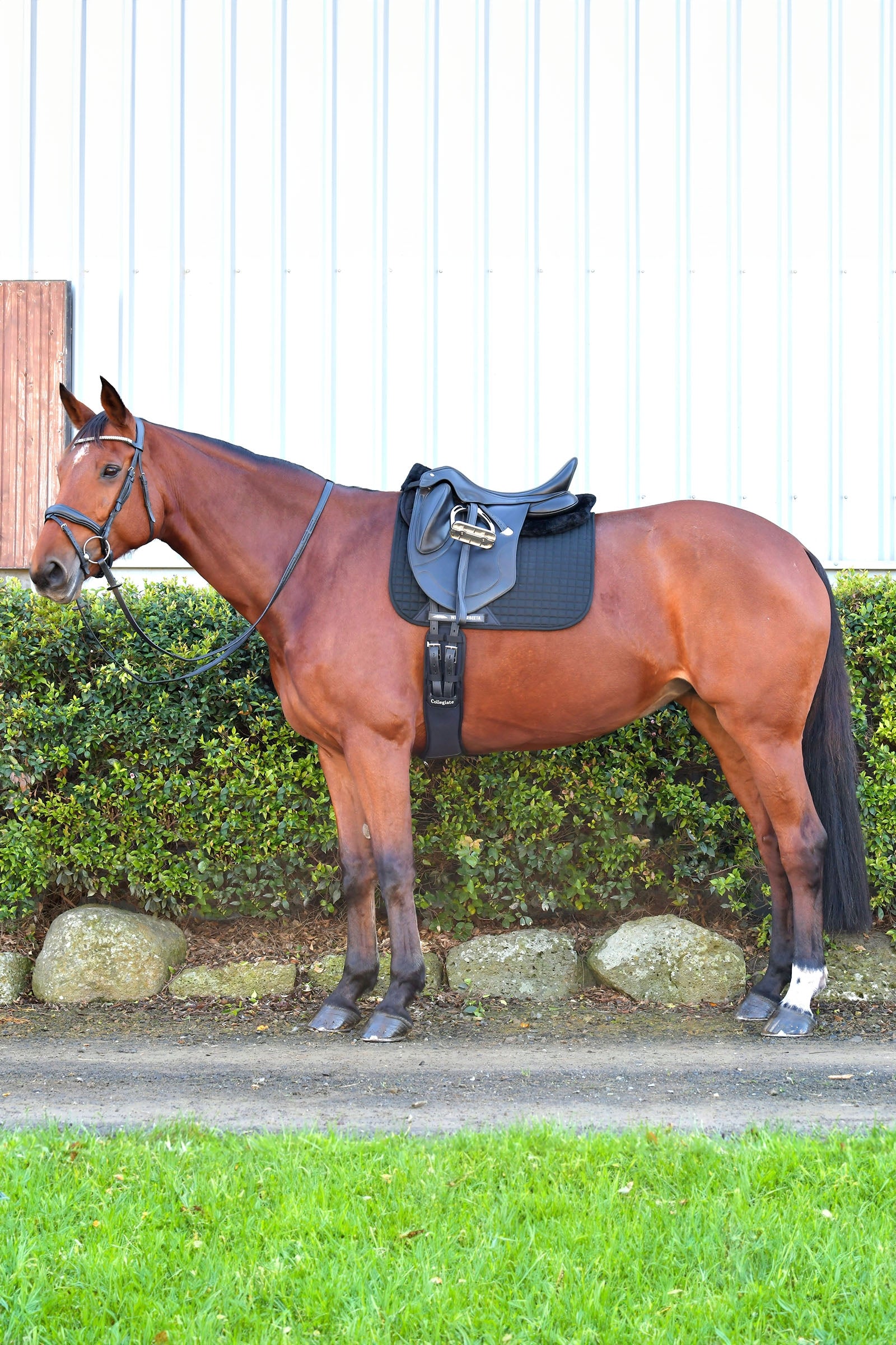 Weatherbeeta Prime Comfy Fleece Half Pad Saddle Pads