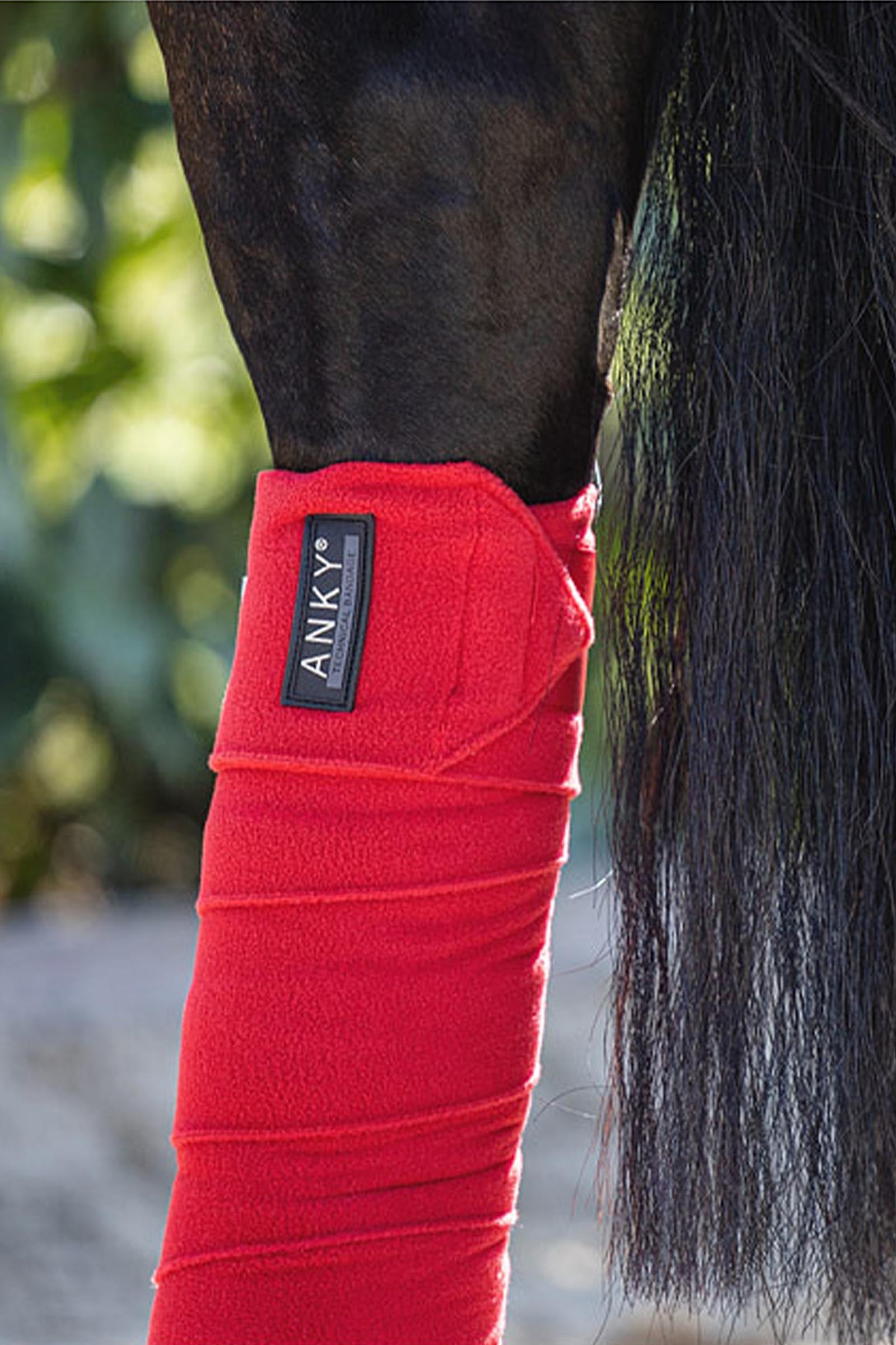 Anky ANKY Basic Fleece Bandages, 3,5 m, Set of 4 Leg Protection & Hoof Protection for Horses