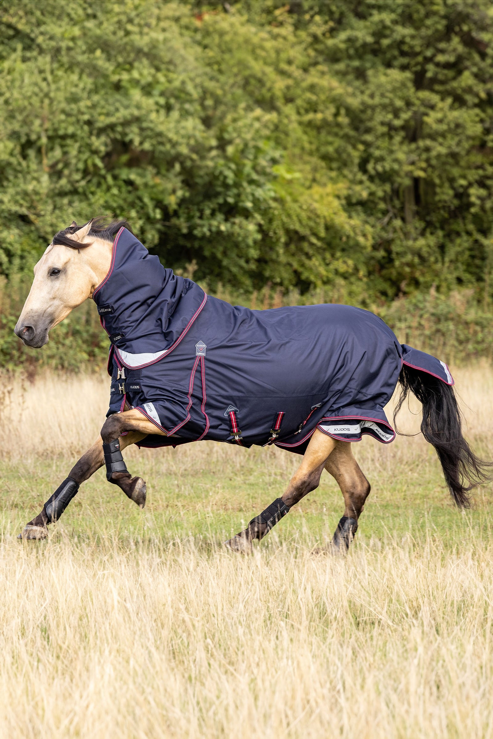 LeMieux Kudos Lightweight Turnout Rug 100g Horse Rugs