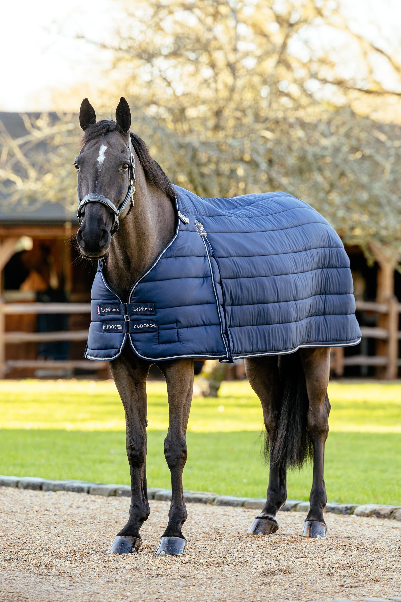 LeMieux Kudos Rug Liner, 100 g Horse Rugs