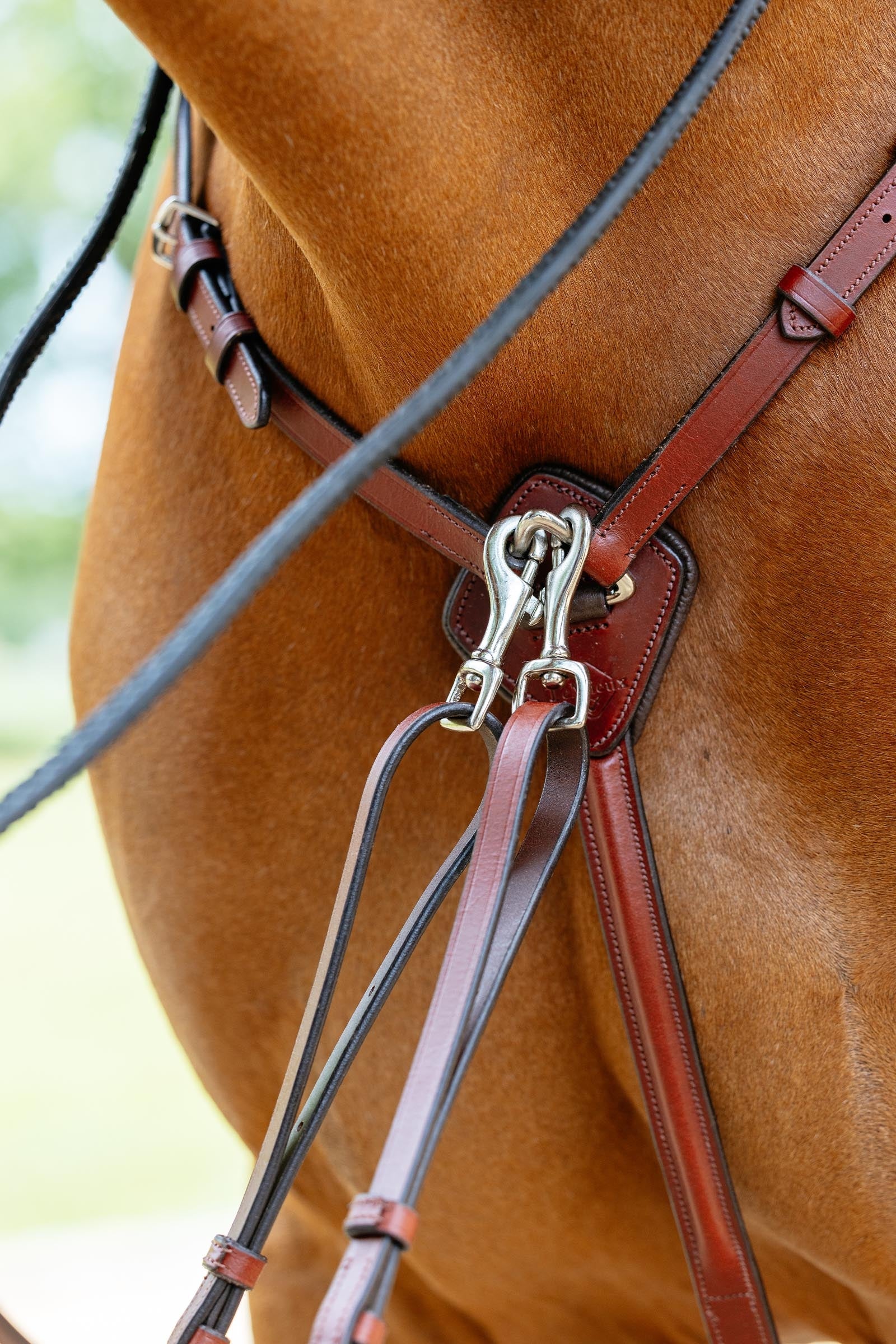 LeMieux Breastplate With Detachable Martingale Bridles & Reins