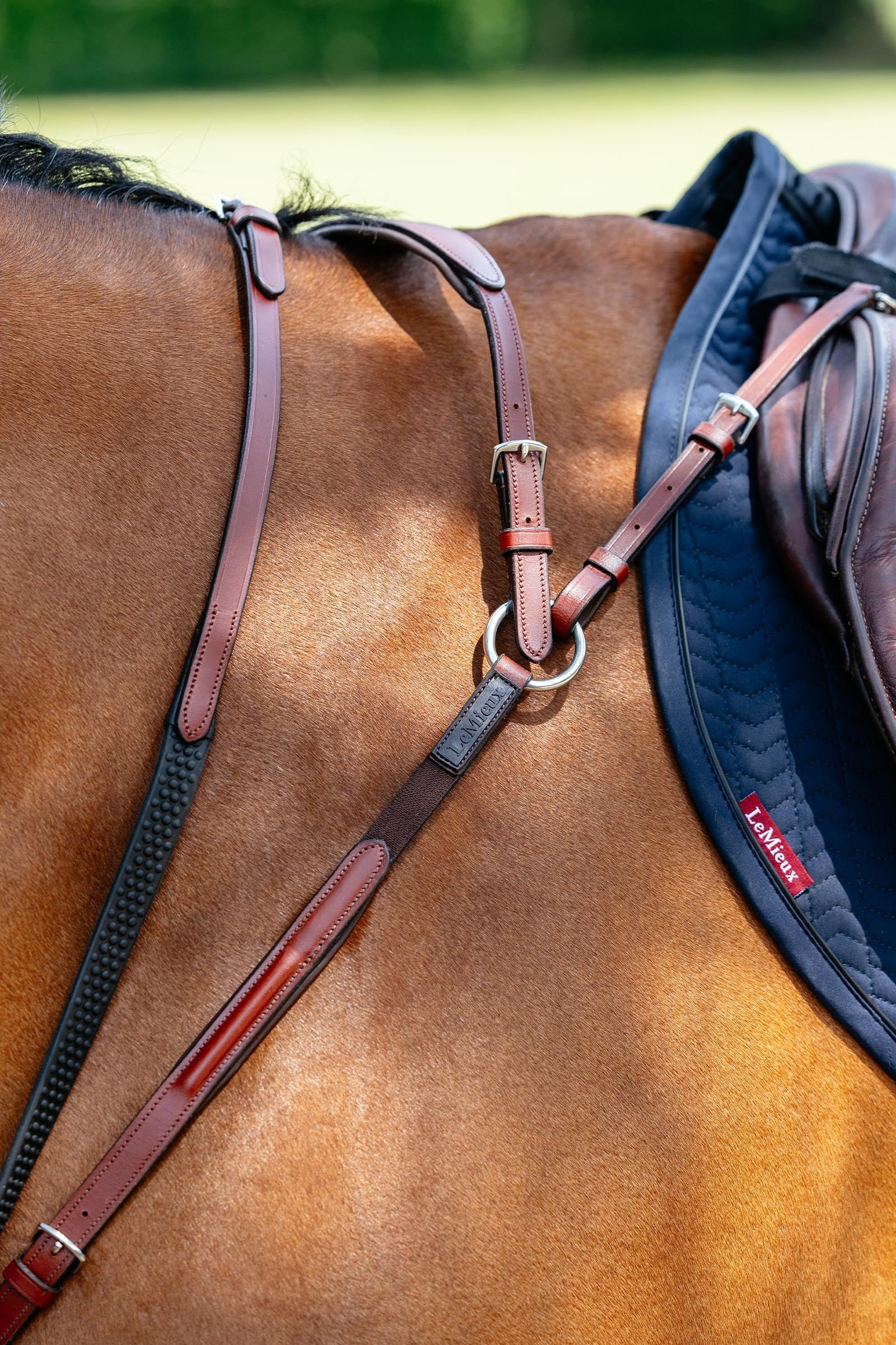 LeMieux Breastplate With Detachable Martingale Bridles & Reins