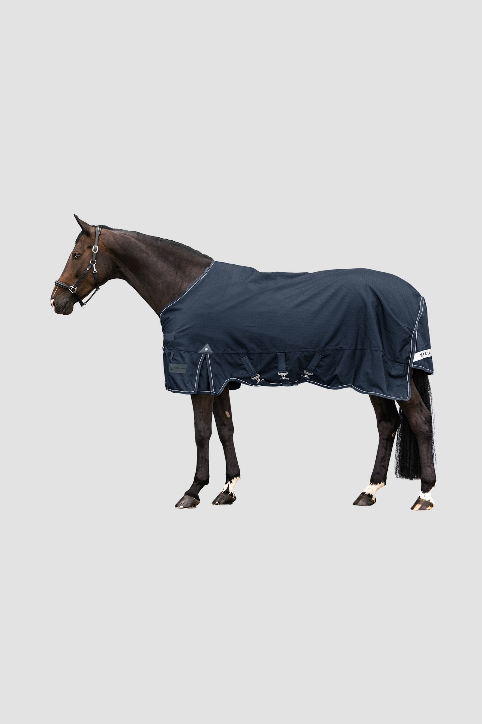 Waldhausen Outdoor Rug Scandic 100g Derki