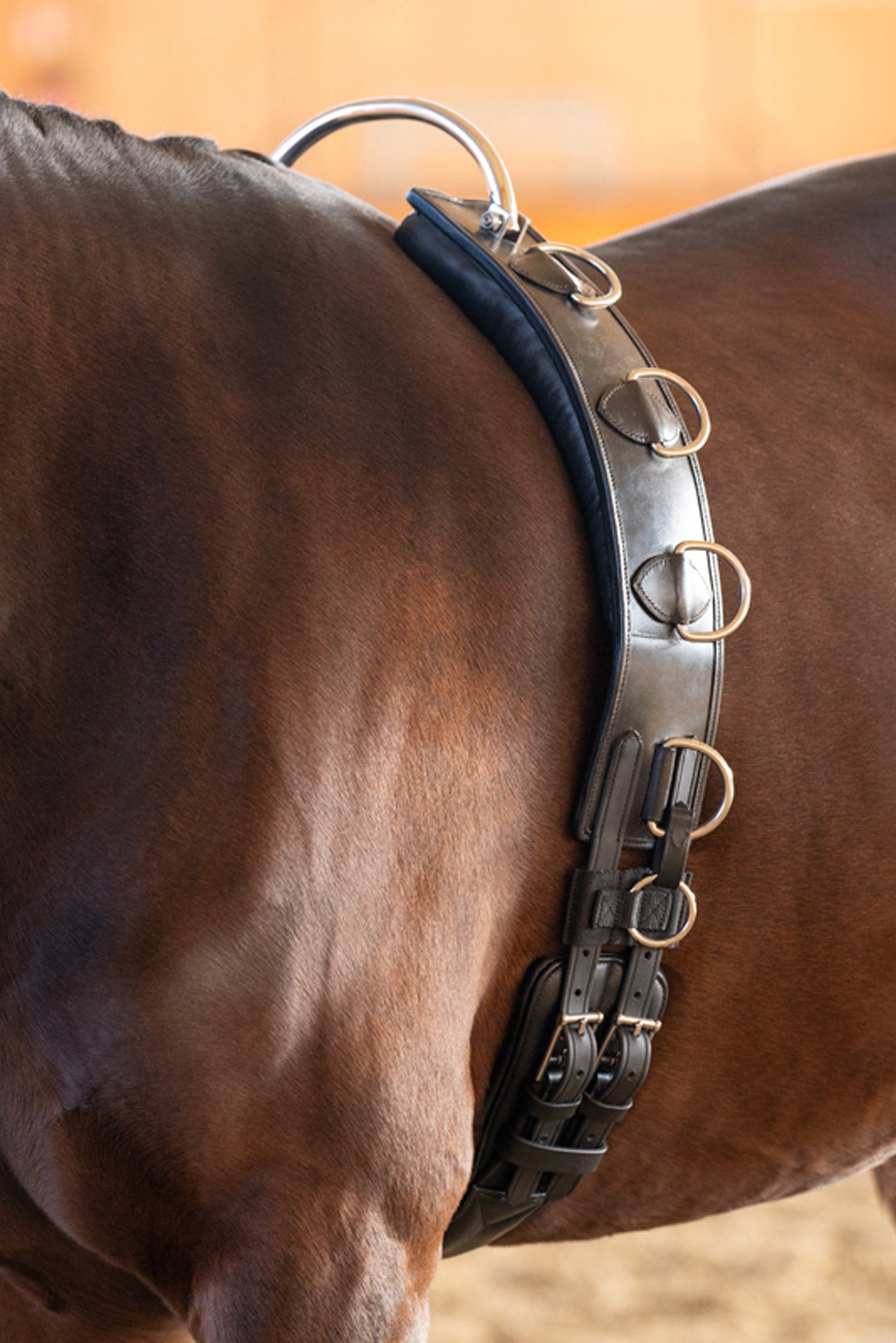 Kavalkade Skórzana popręg do lonżowania z ramą Siodła i popręgi