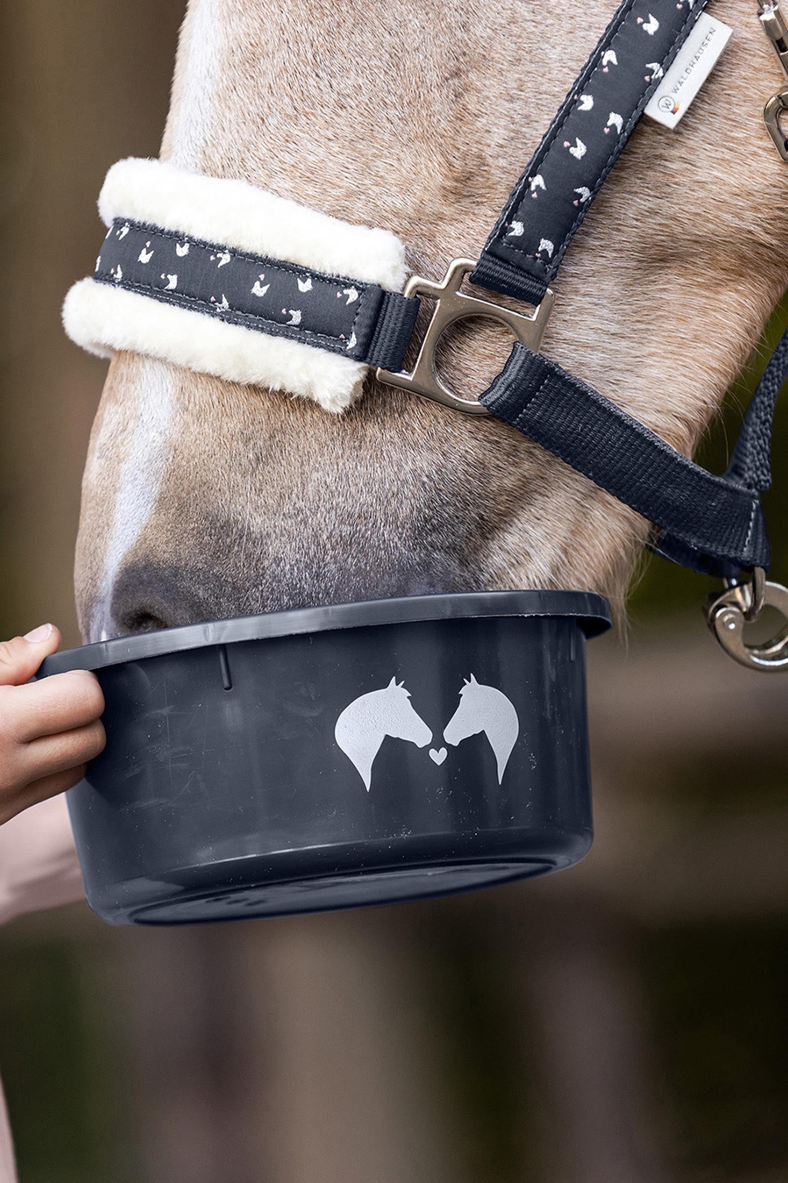undefined Waldhausen Treat Bowl Lucky With Lid Horse Feeders & Waterers