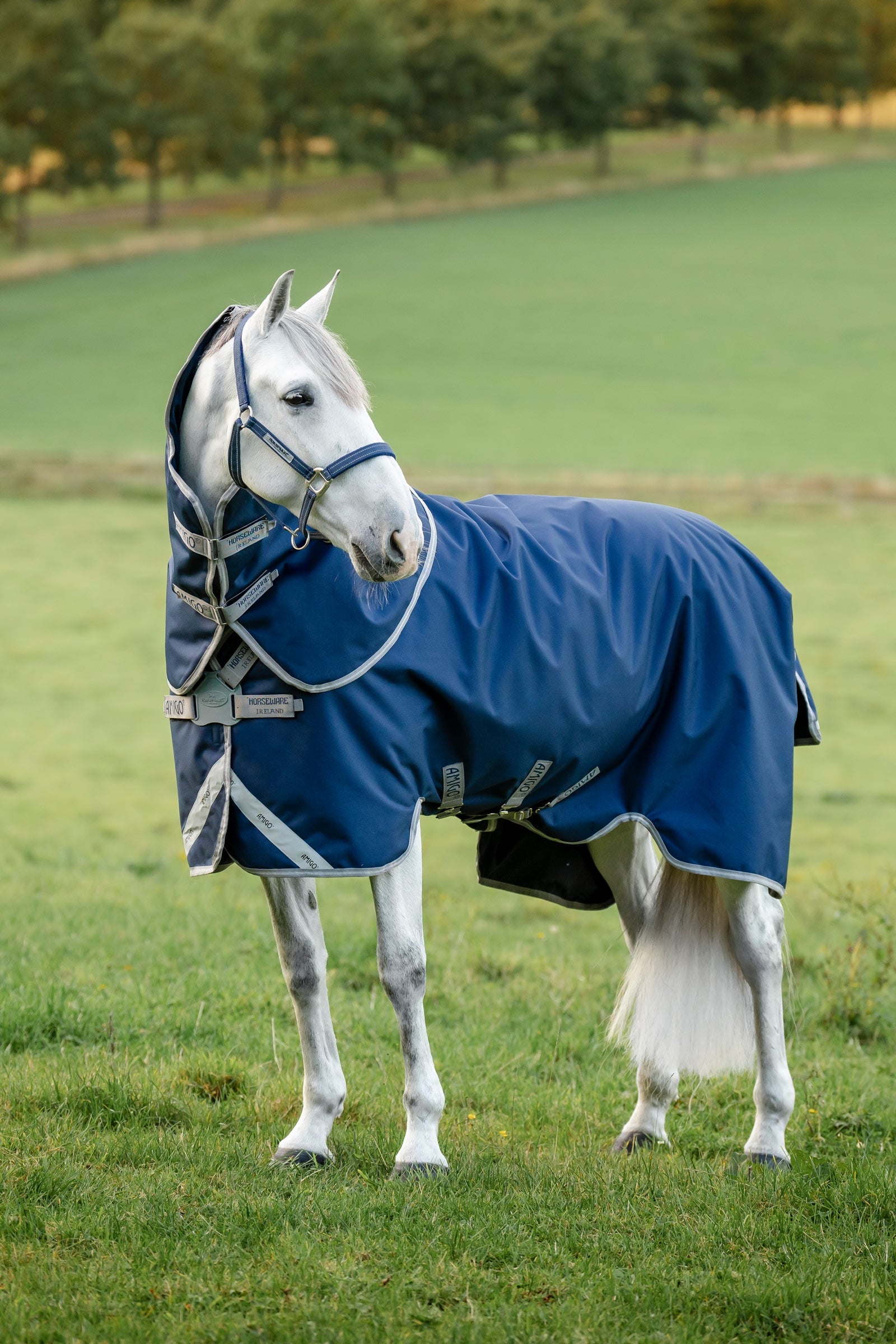 Horseware Amigo 1200D FieldSafe Plus Turnout Rug, 250 g Derki